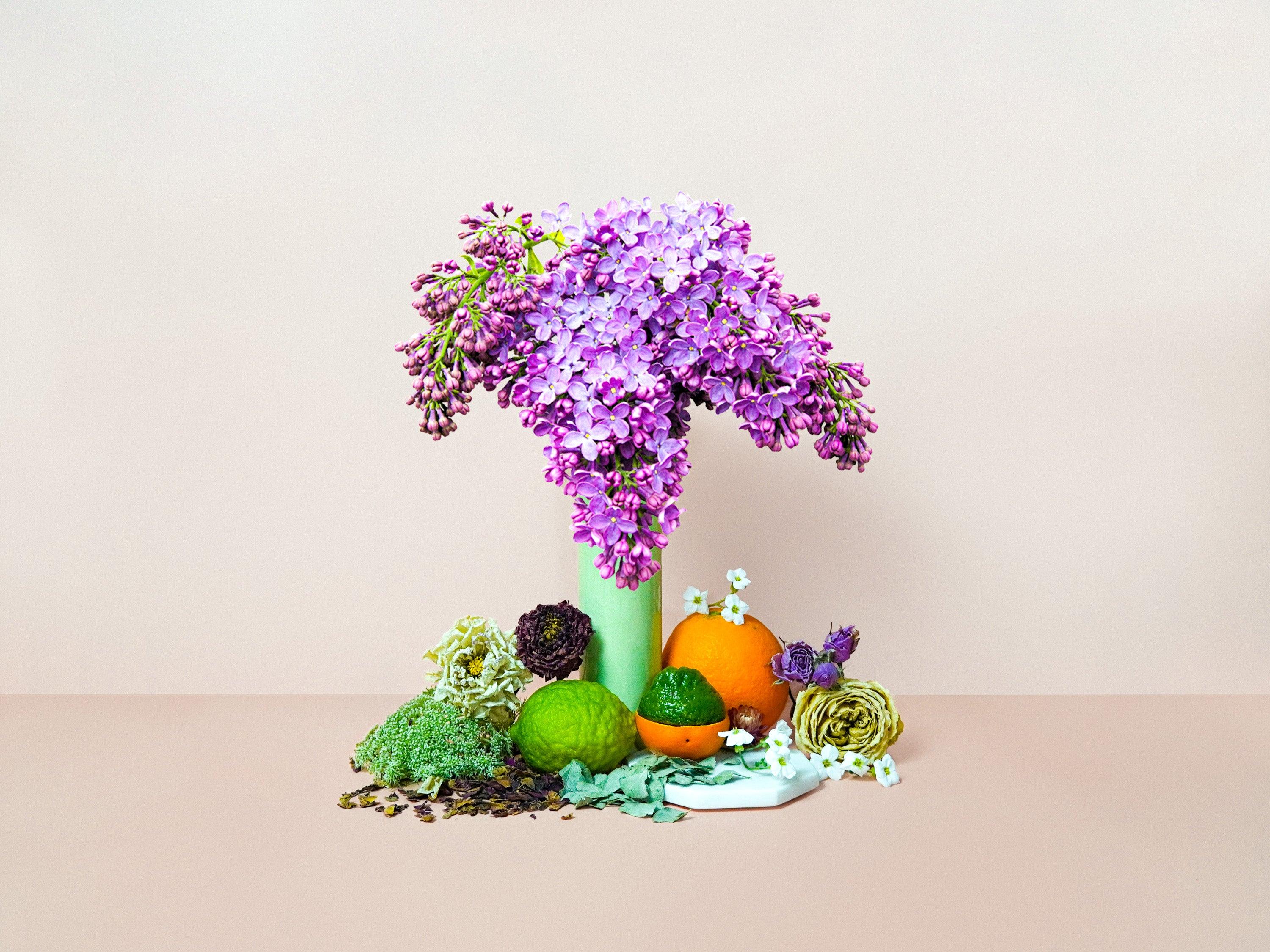 Lilac Grove + Sweet Jasmine