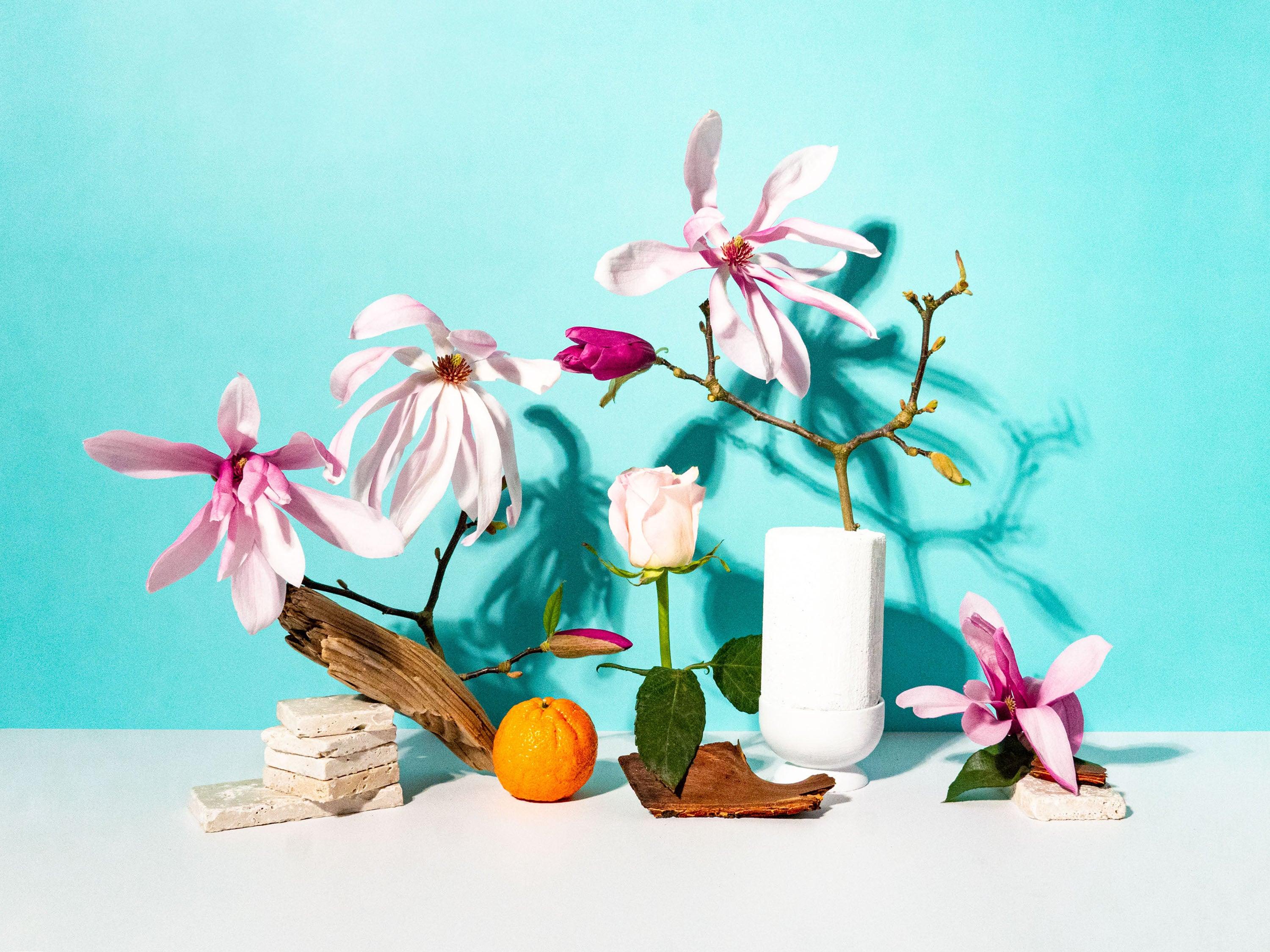 Magnolia + Sandalwood