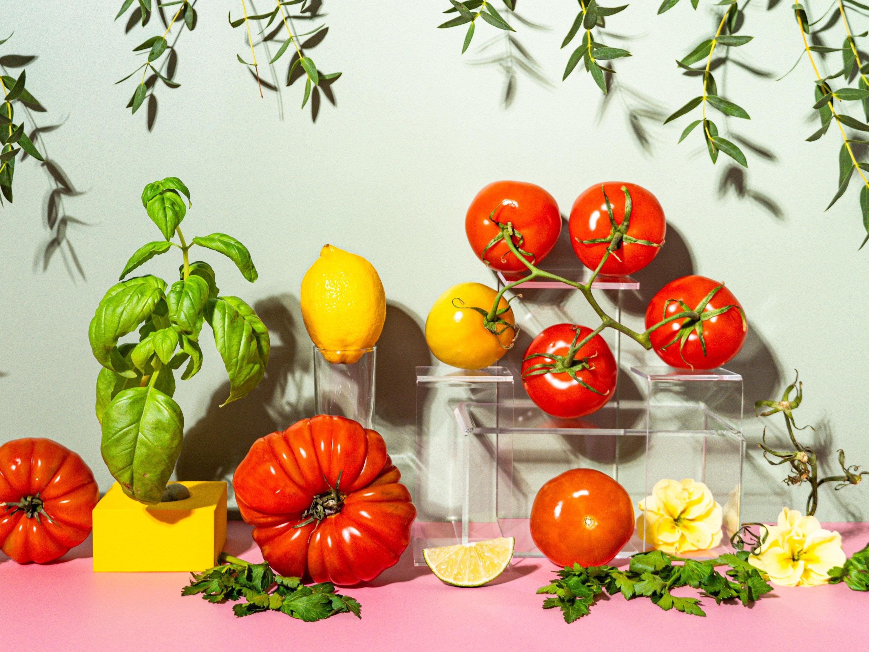 Tomato Leaves