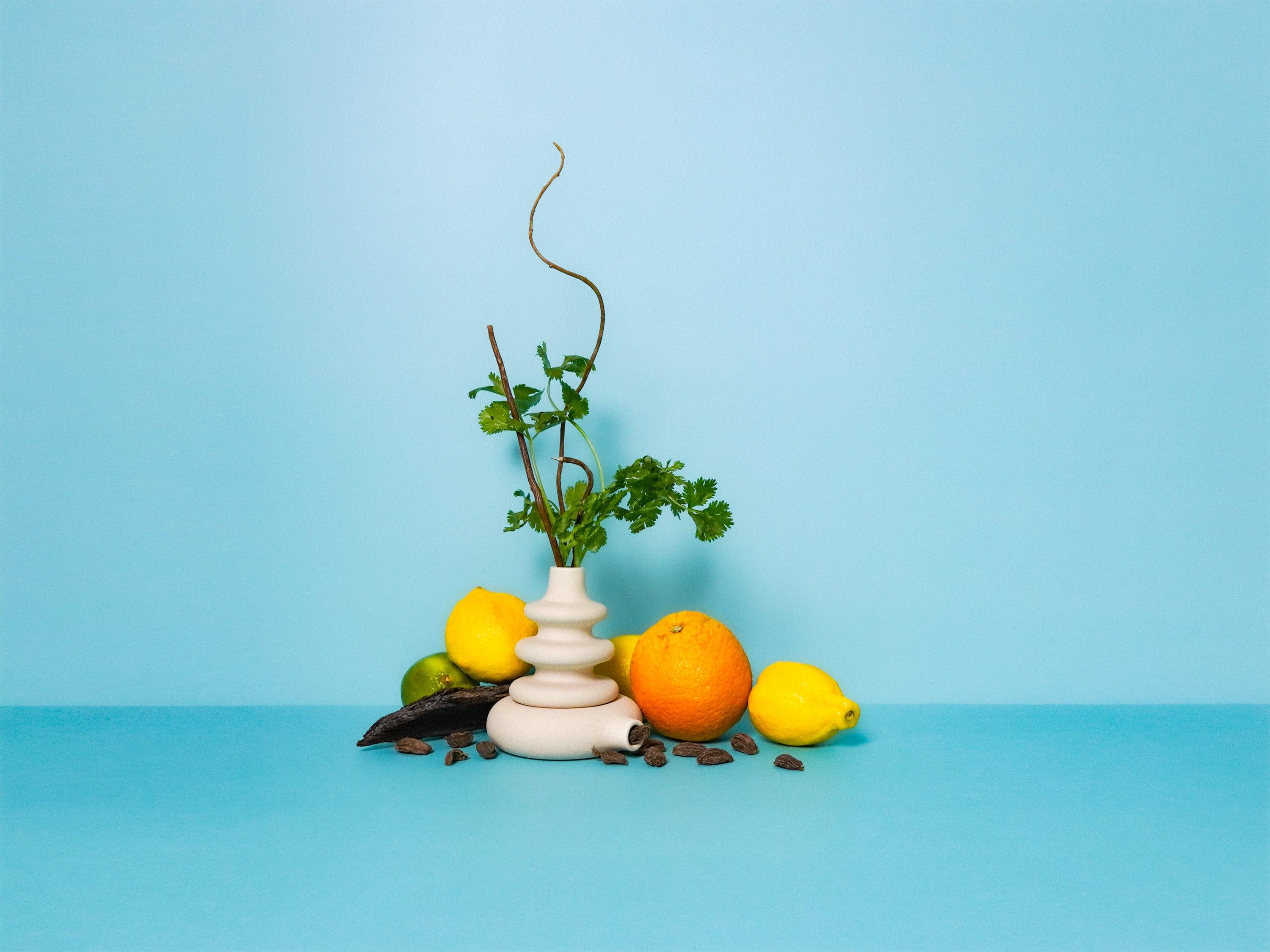 Under the Lemon Tree