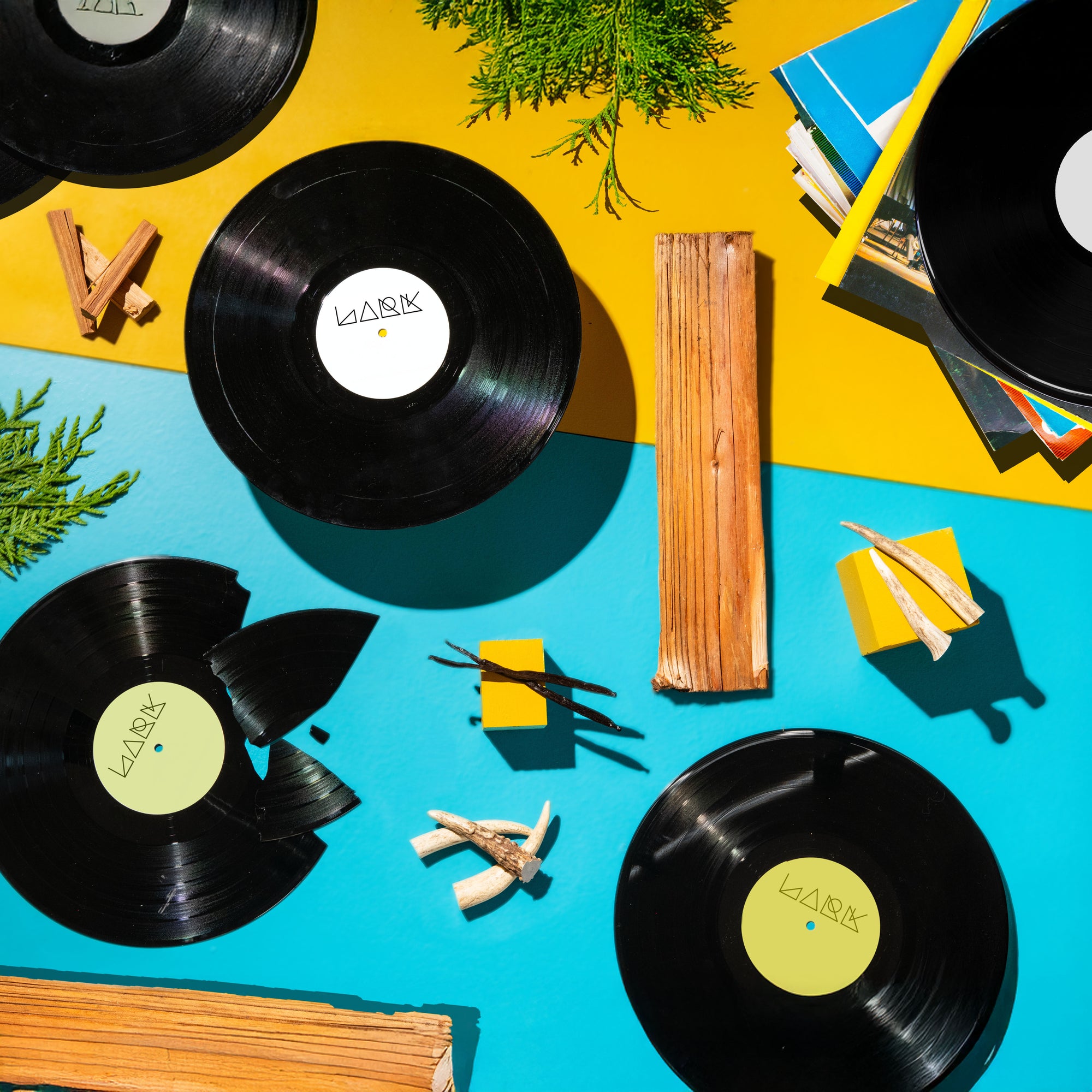 Vinyl records with 'Lark' label on a colorful background with wooden sticks and books.