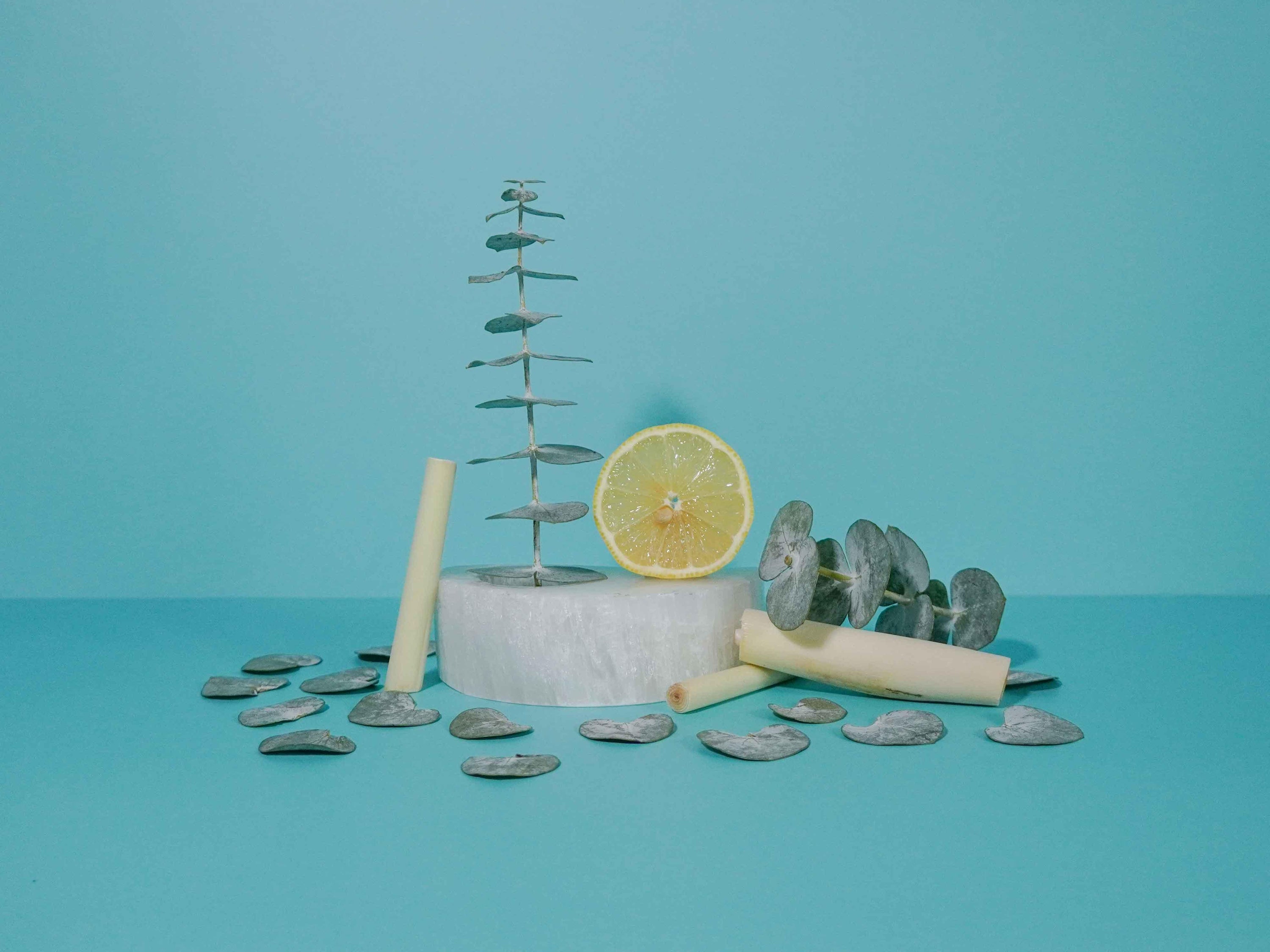 Citronella + Eucalyptus