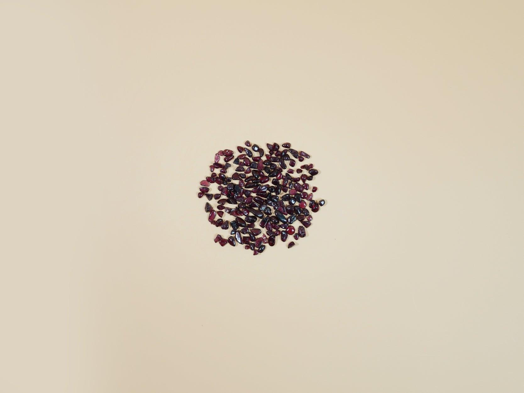 Garnet Mini Chips