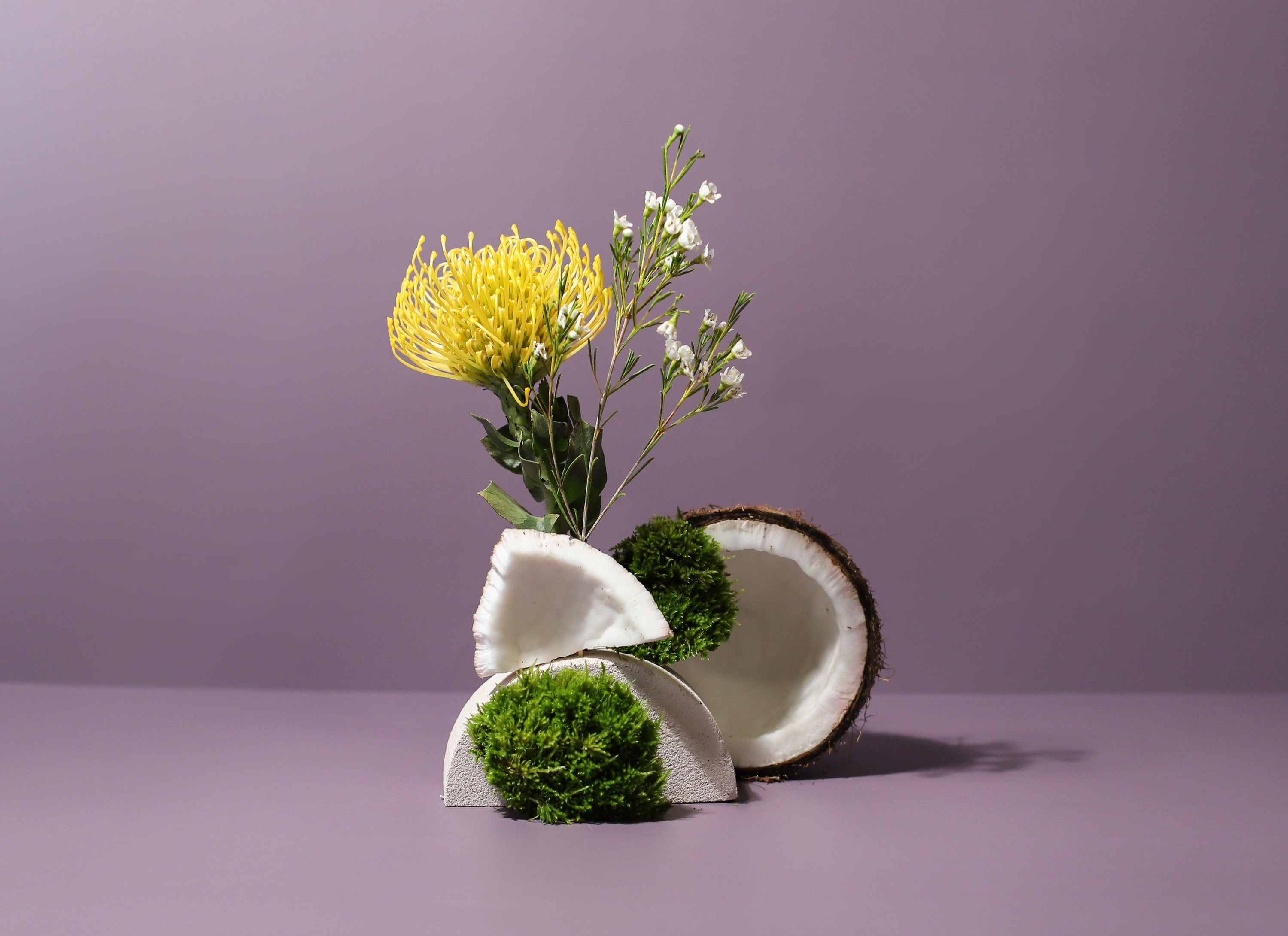 Coconut stacked with wild flowers and moss