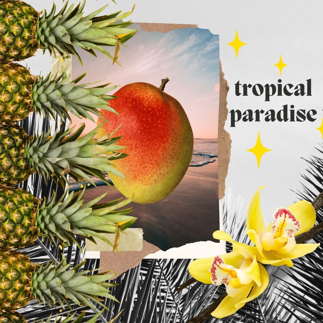 Tropical Paradise Sampler Pack
