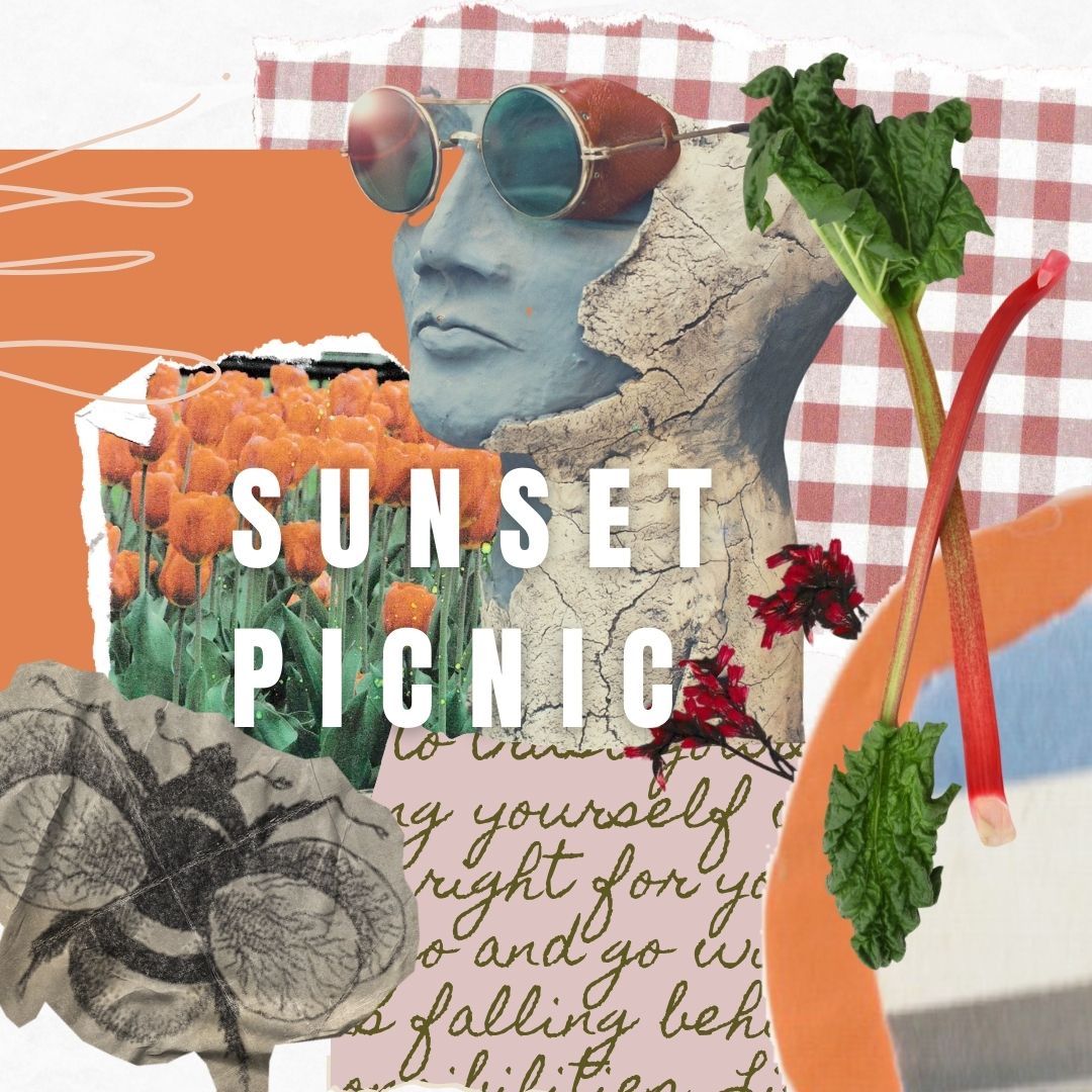 Sunset Picnic Sampler Pack