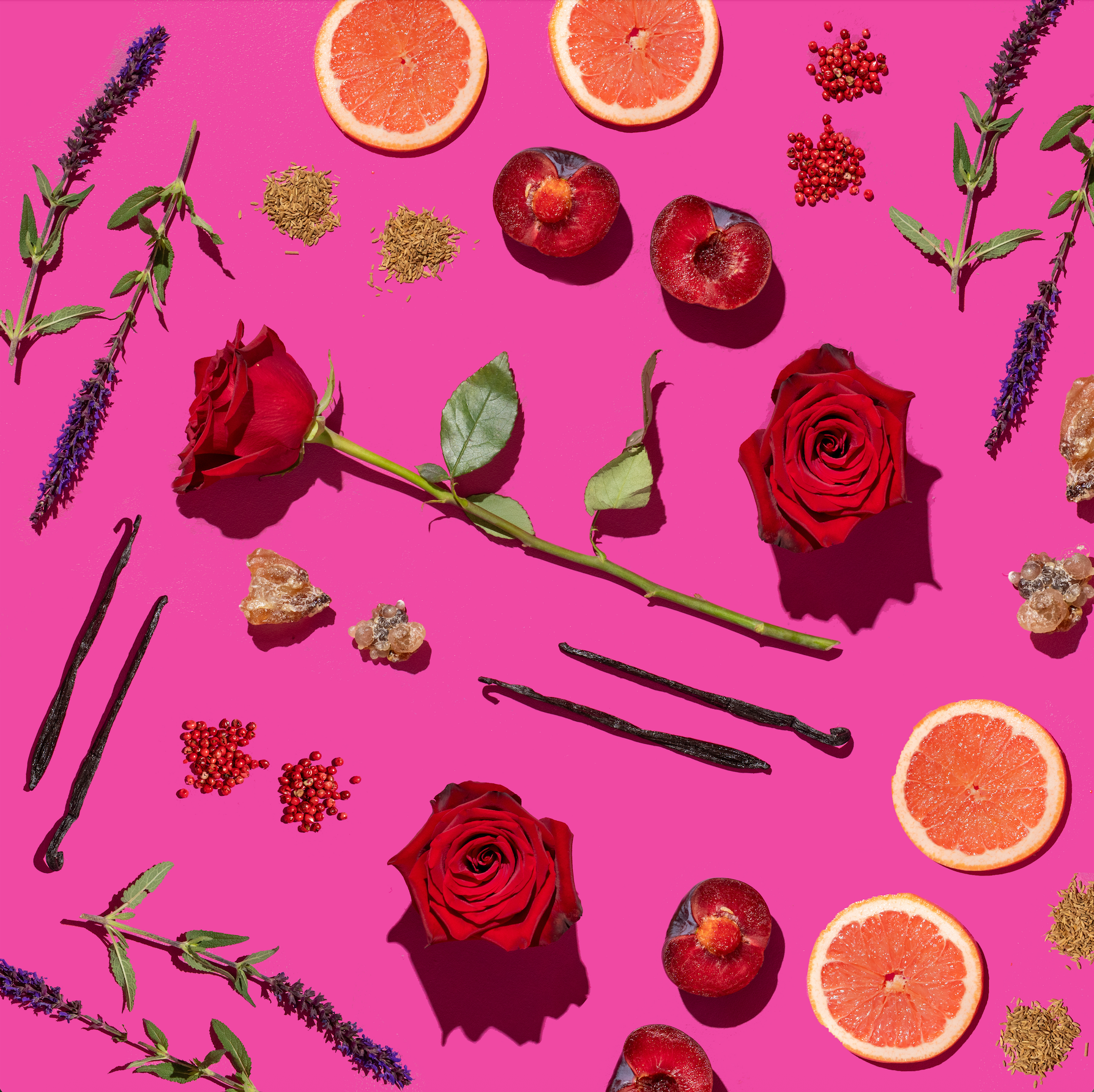 A Rose by Any Other Name