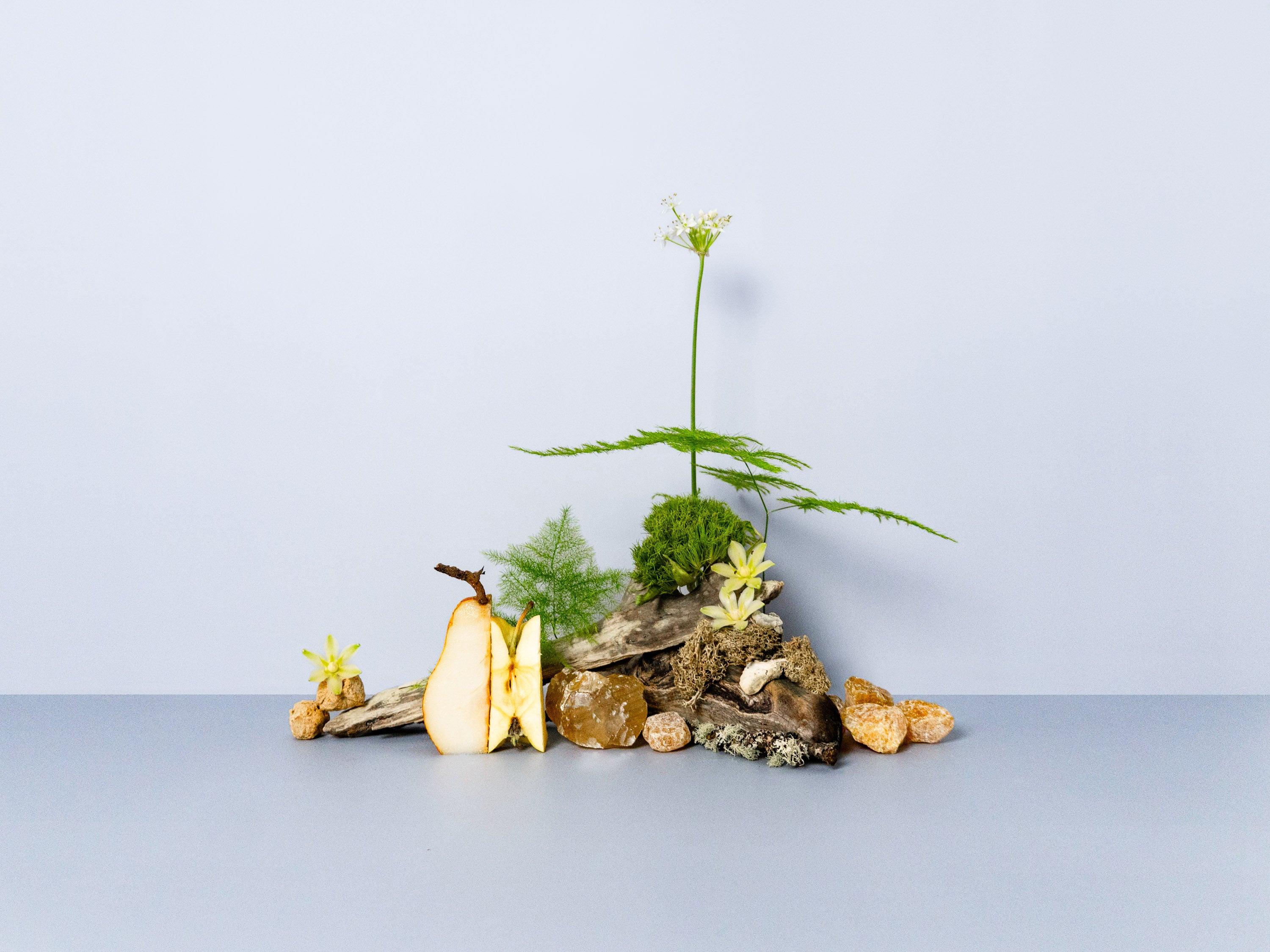 A serene composition featuring natural elements like moss-covered driftwood, slices of ripe pear, amber-like resin stones, and delicate yellow flowers. A tall, feathery green sprig rises from the centre, adding height and elegance to the scene, all set against a soft blue background. This arrangement exudes a tranquil, forest-inspired aesthetic.