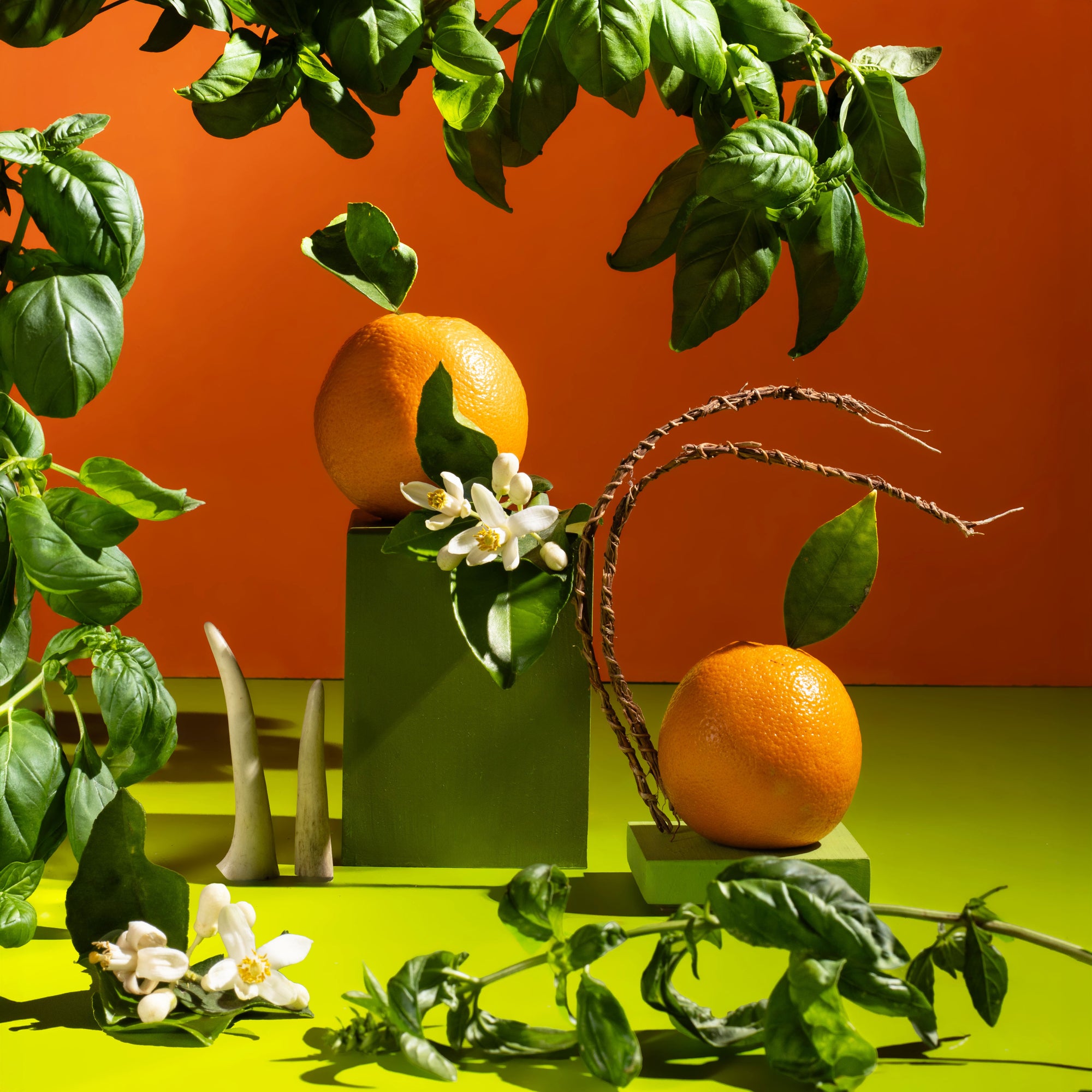 A styled still life with two oranges, white blossoms, and green leaves arranged on a bright green surface against a vivid orange background. A dark green rectangular pedestal and a smaller matching block support the fruit, with decorative twigs and leafy branches framing the composition.