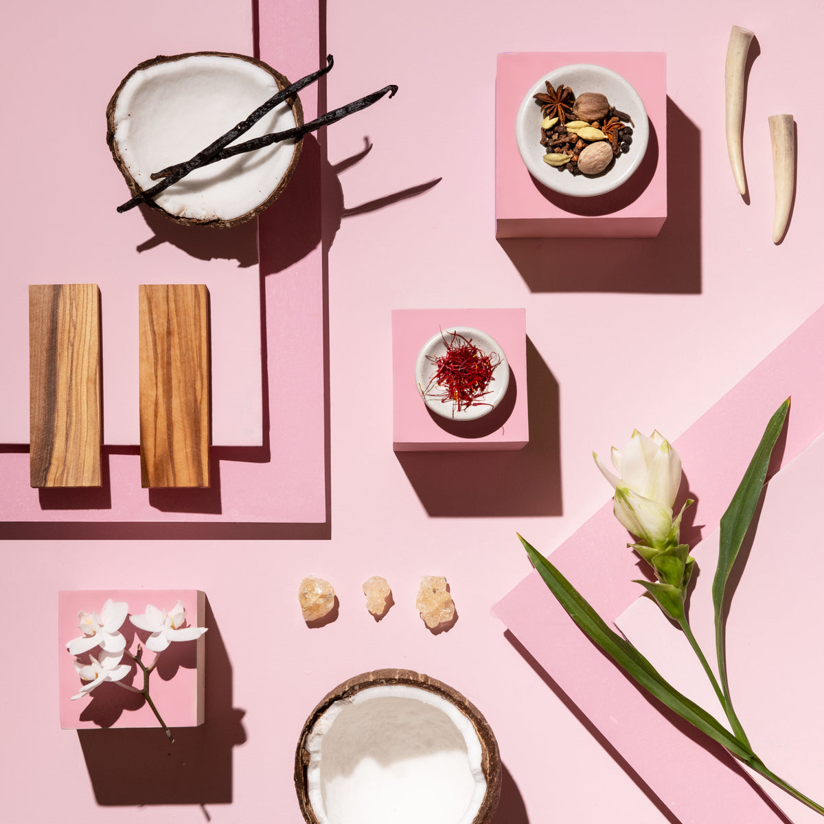 A styled flat-lay arrangement of pink display blocks holding small bowls of spices, a sliced coconut, vanilla beans, wood blocks, crystals, and a white flower on a pink background.