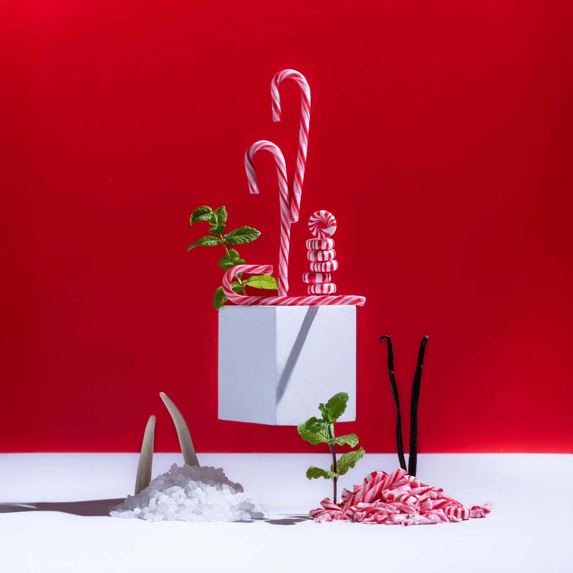Decorative setup with candy canes, mint leaves, and a small tree on a red background