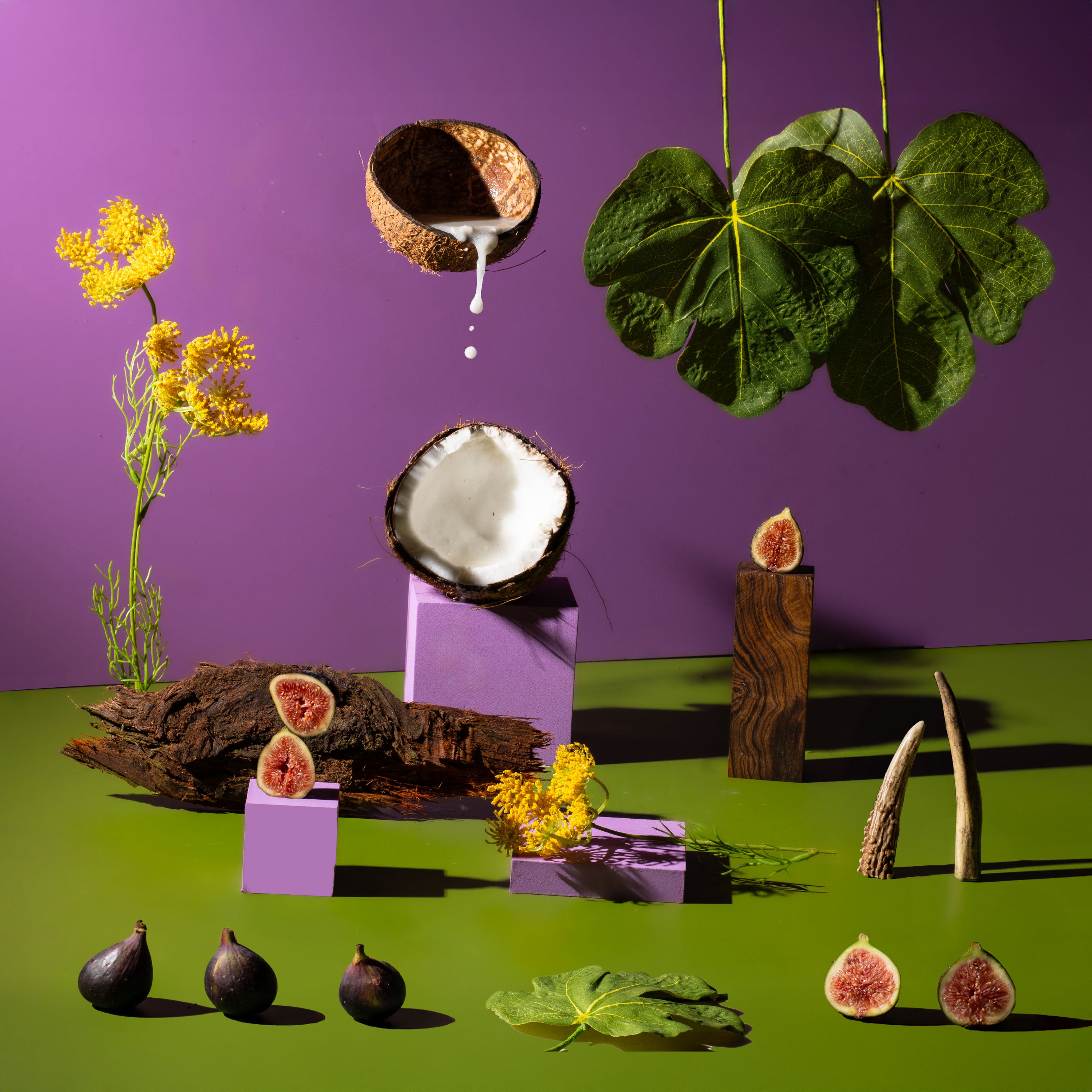 Bright still life on a purple wall and green tabletop: a halved coconut drips white milk above another coconut on a lavender block, surrounded by fresh figs (whole and sliced), fig leaves, yellow flowers, a piece of bark, a wooden pedestal, and two antlers casting dramatic shadows.