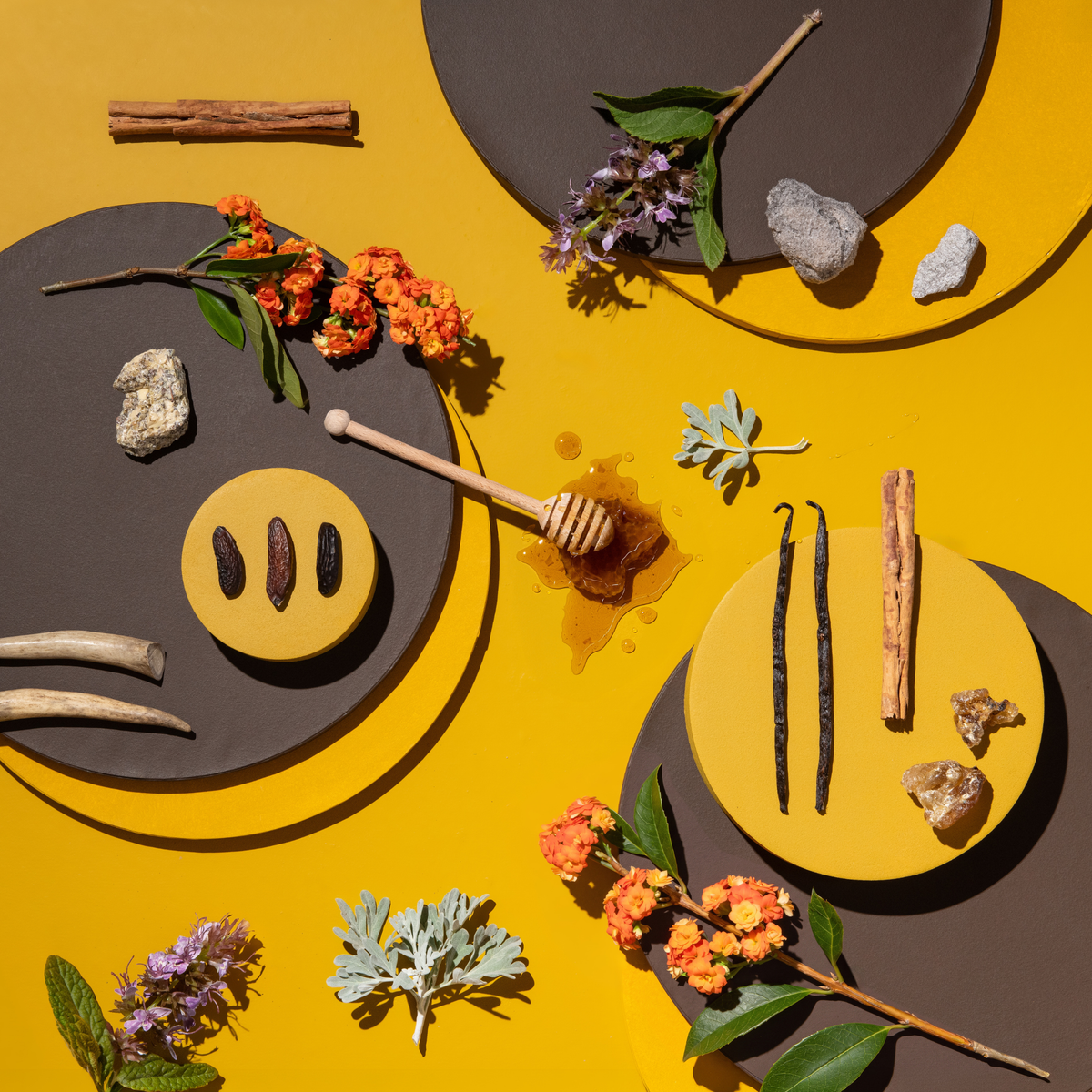 Honey + Osmanthus