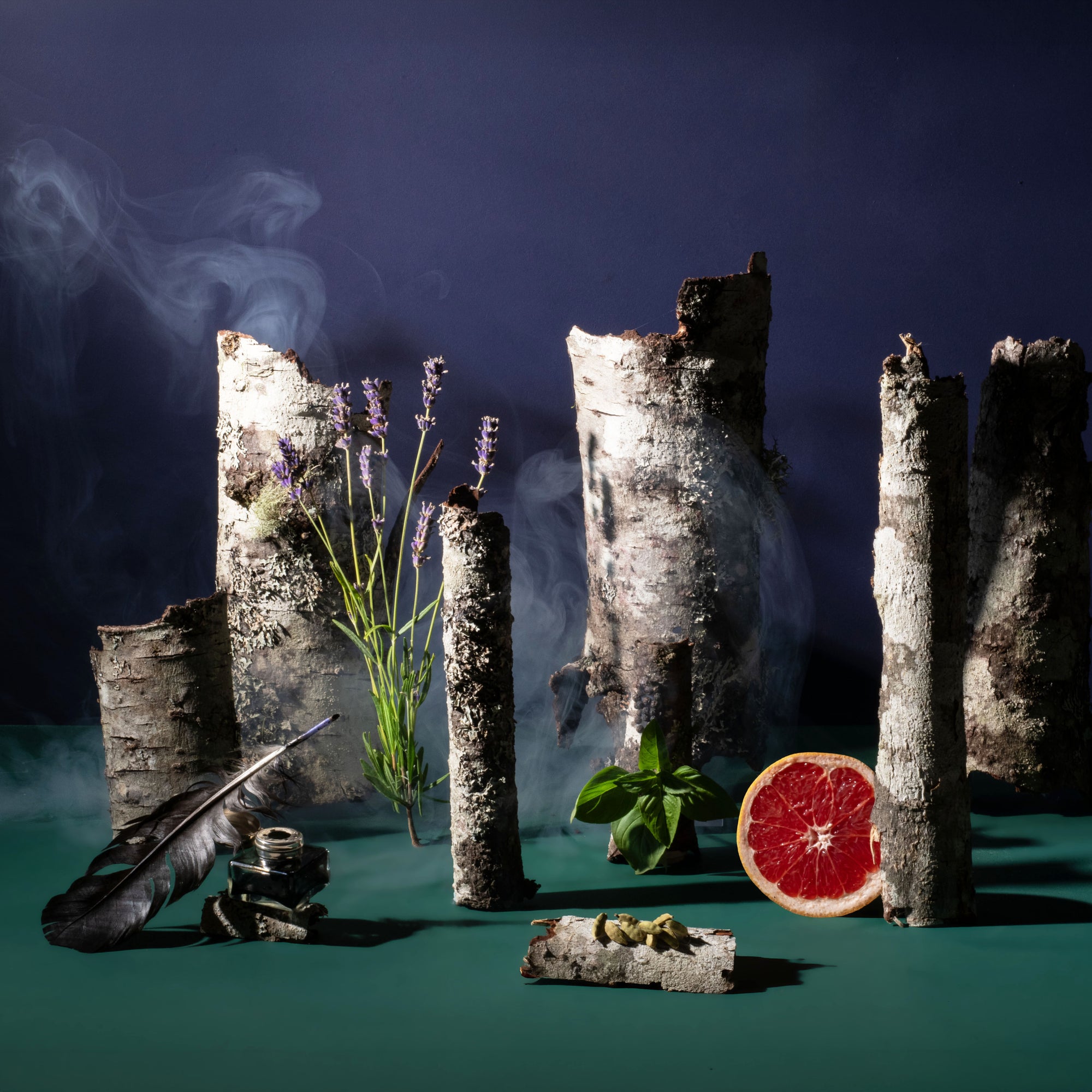 Moody woodland still life featuring birch logs, drifting smoke, lavender, basil, grapefruit, cardamom pods, a black feather, and an ink bottle against a deep blue background.
