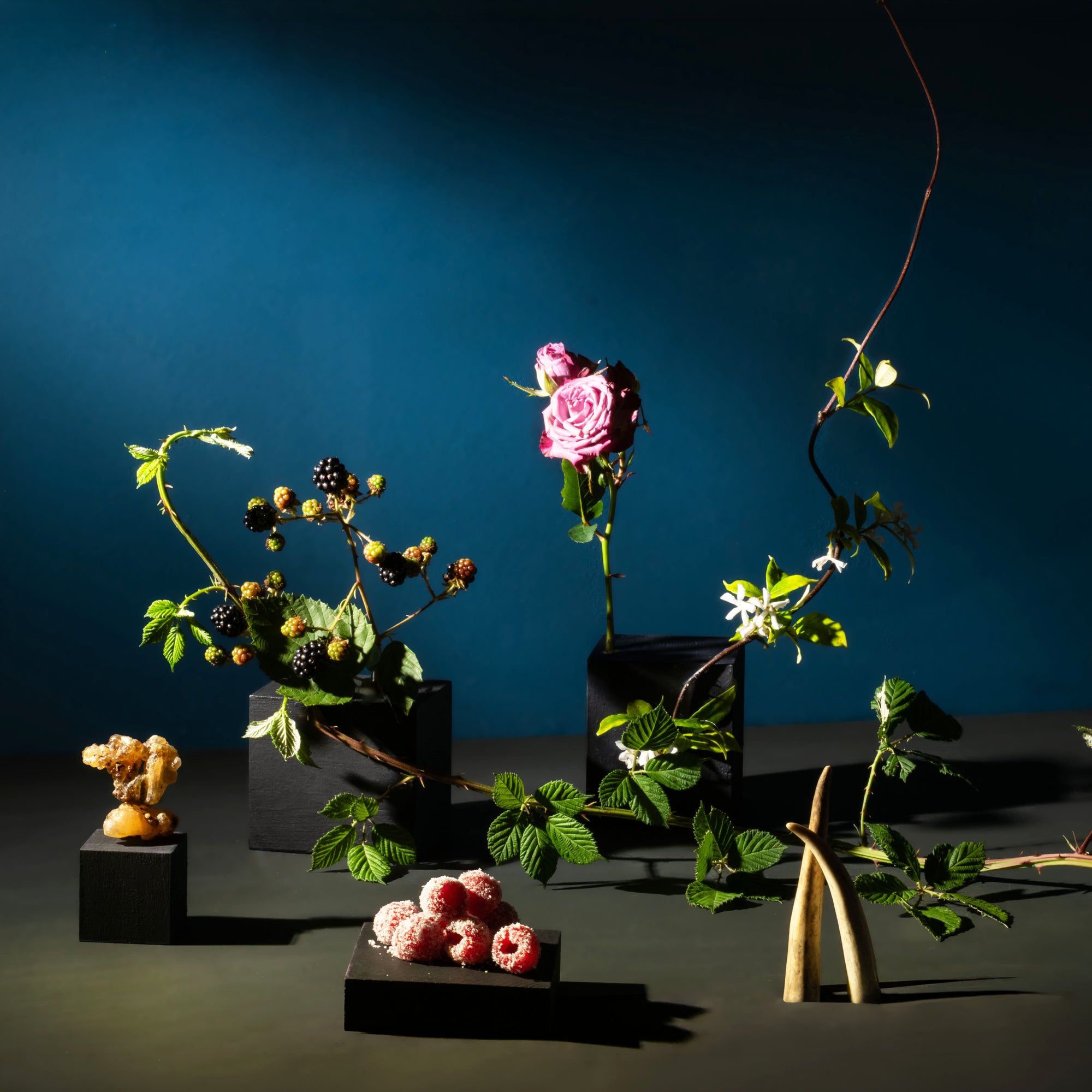 Dramatic botanical arrangement with blackberries, pink roses, jasmine vine, sugared raspberries, amber resin, and antlers displayed on black pedestals against a dark blue backdrop.