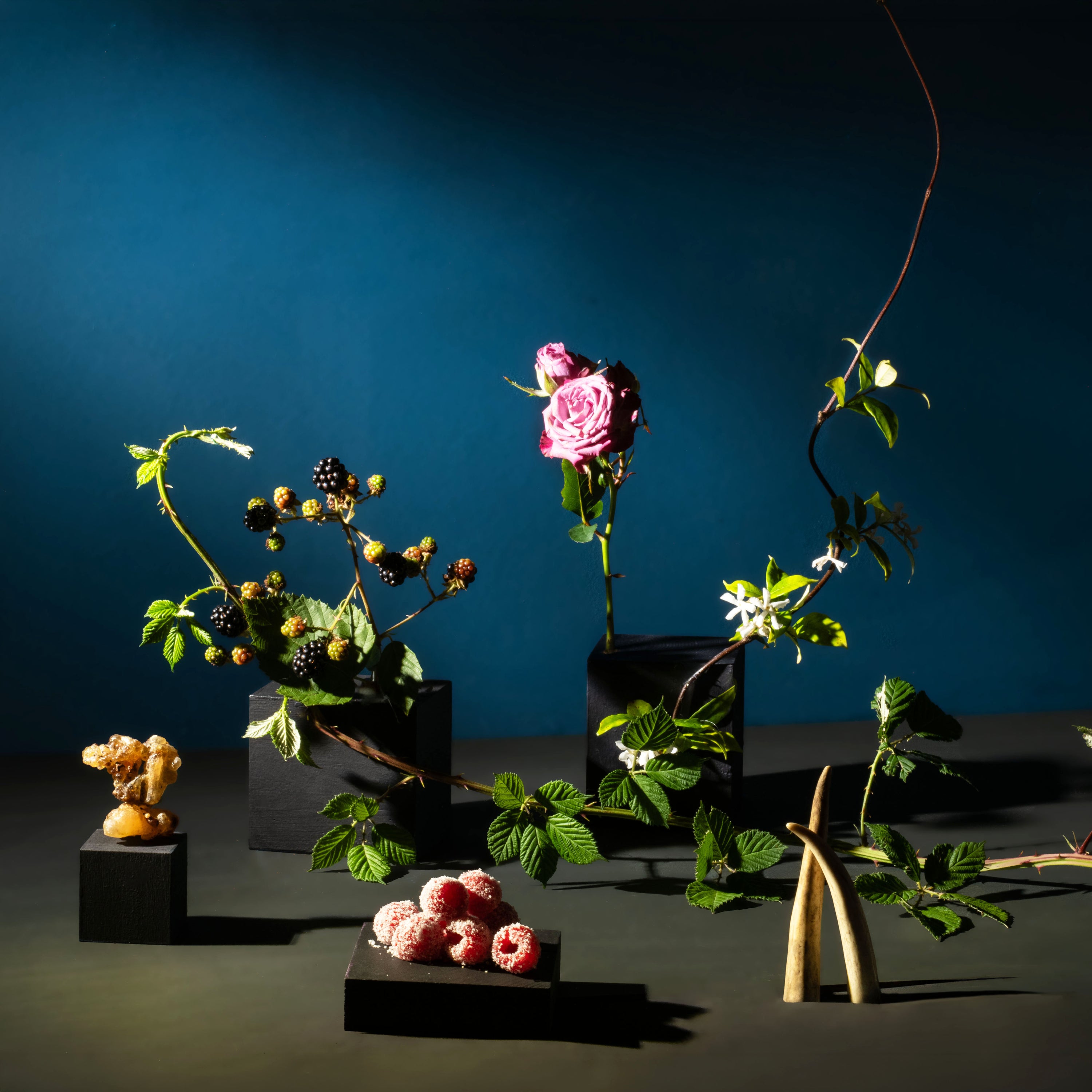 Dramatic botanical arrangement with blackberries, pink roses, jasmine vine, sugared raspberries, amber resin, and antlers displayed on black pedestals against a dark blue backdrop.