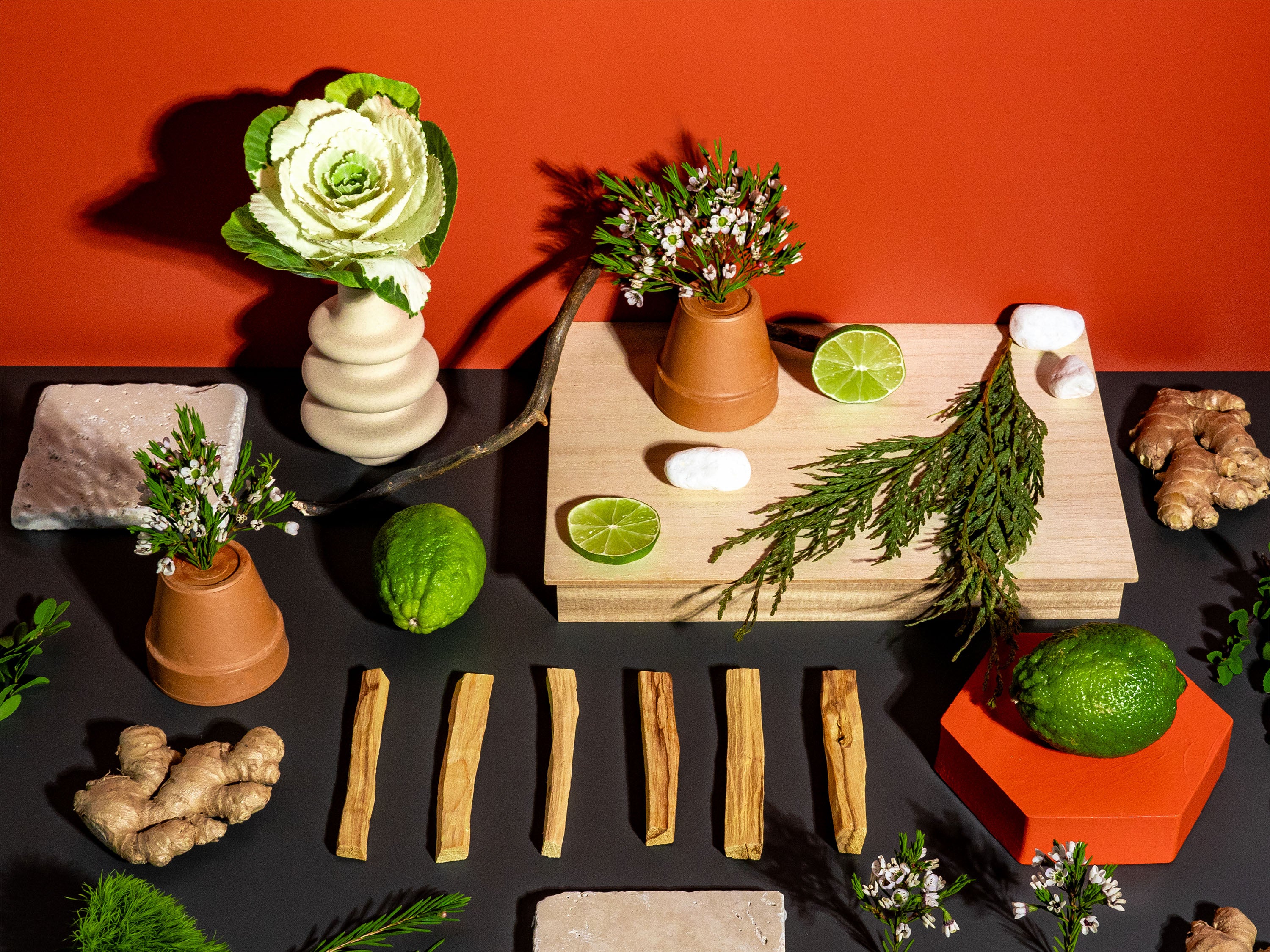 A vibrant and earthy composition set against a bold orange backdrop. The scene features fresh limes, ginger root, cedar sprigs, palo santo sticks, and delicate blossoms arranged in terracotta pots. A striking ornamental cabbage and smooth white stones add texture and contrast, while wooden blocks and greenery create a natural, balanced layout. The arrangement exudes freshness, warmth, and grounding energy.