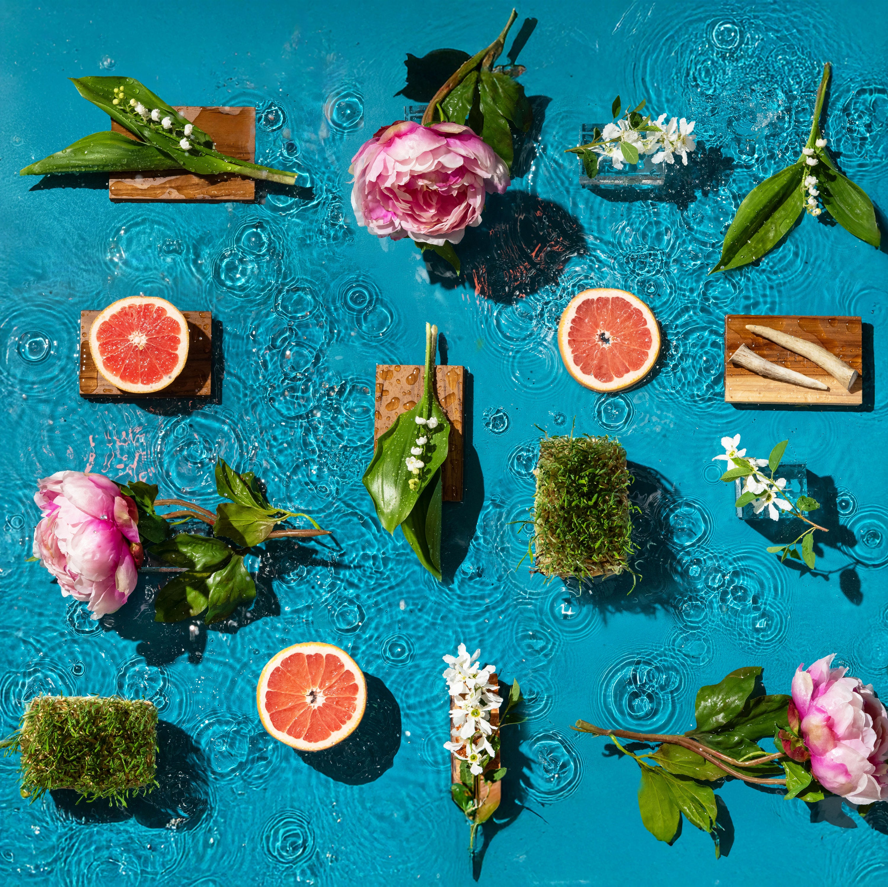 Fruits, flowers, and plants arranged on a blue textured surface