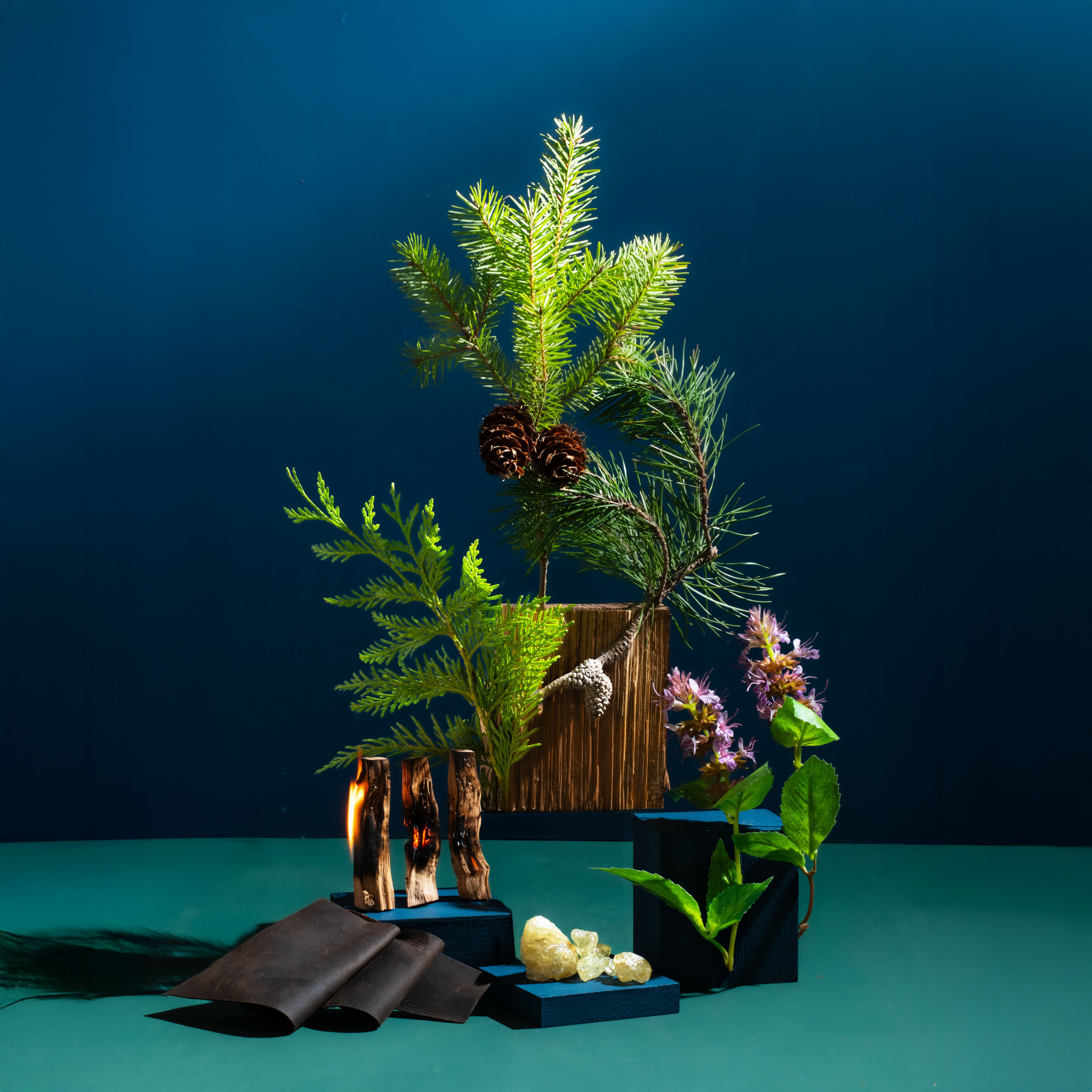Decorative arrangement with plants, flowers, and decorative items on a teal surface against a dark blue background