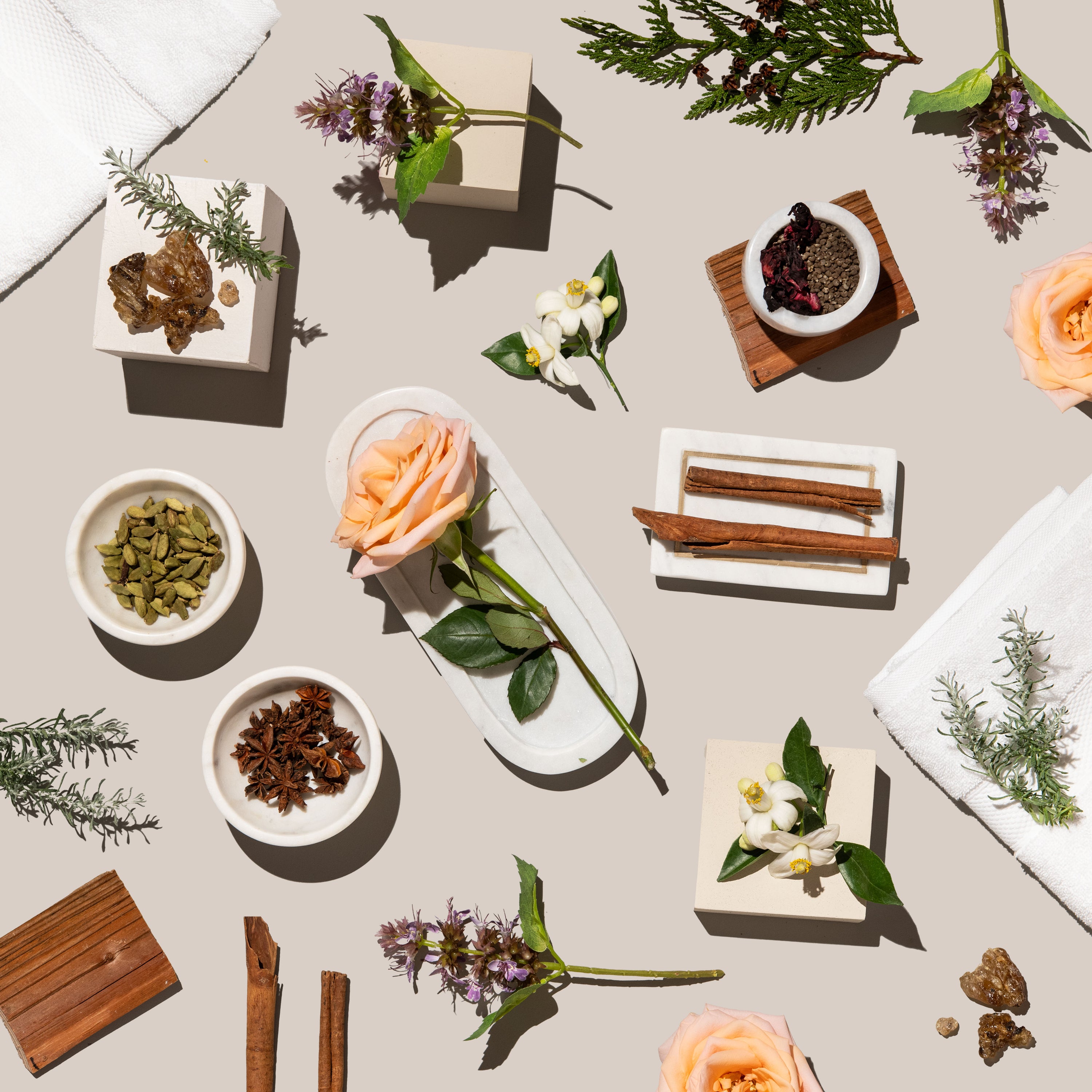 Tabletop display with various herbs, flowers, and small containers on a neutral background