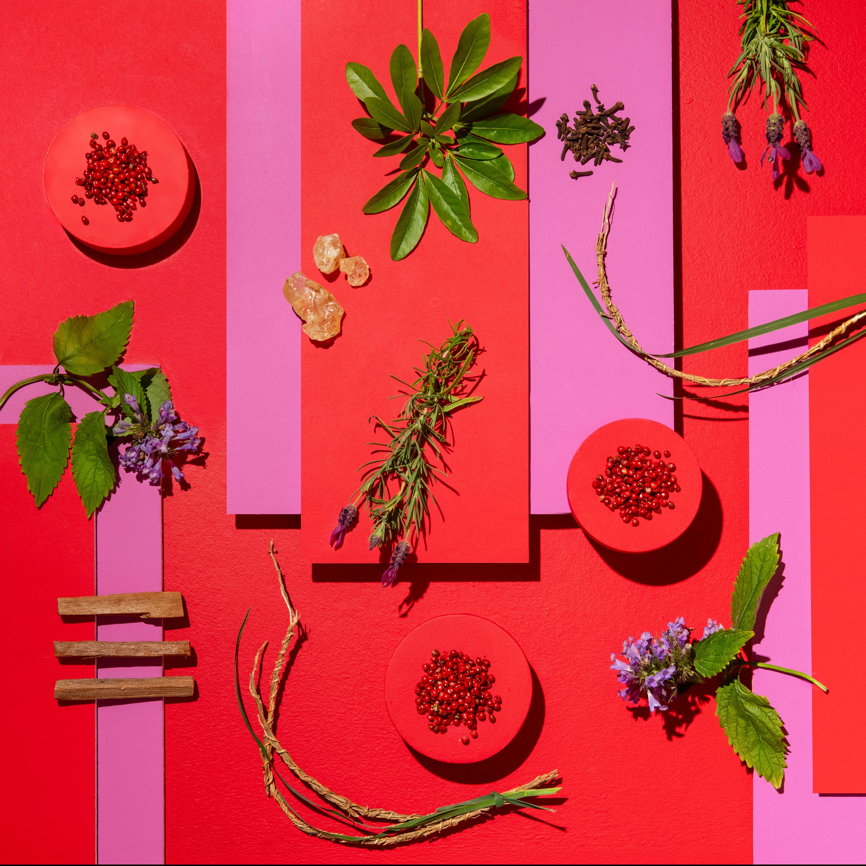 A styled flat-lay arrangement of dried herbs, green leaves, small purple flowers, cinnamon sticks, and red peppercorns placed on bright red and pink geometric panels.