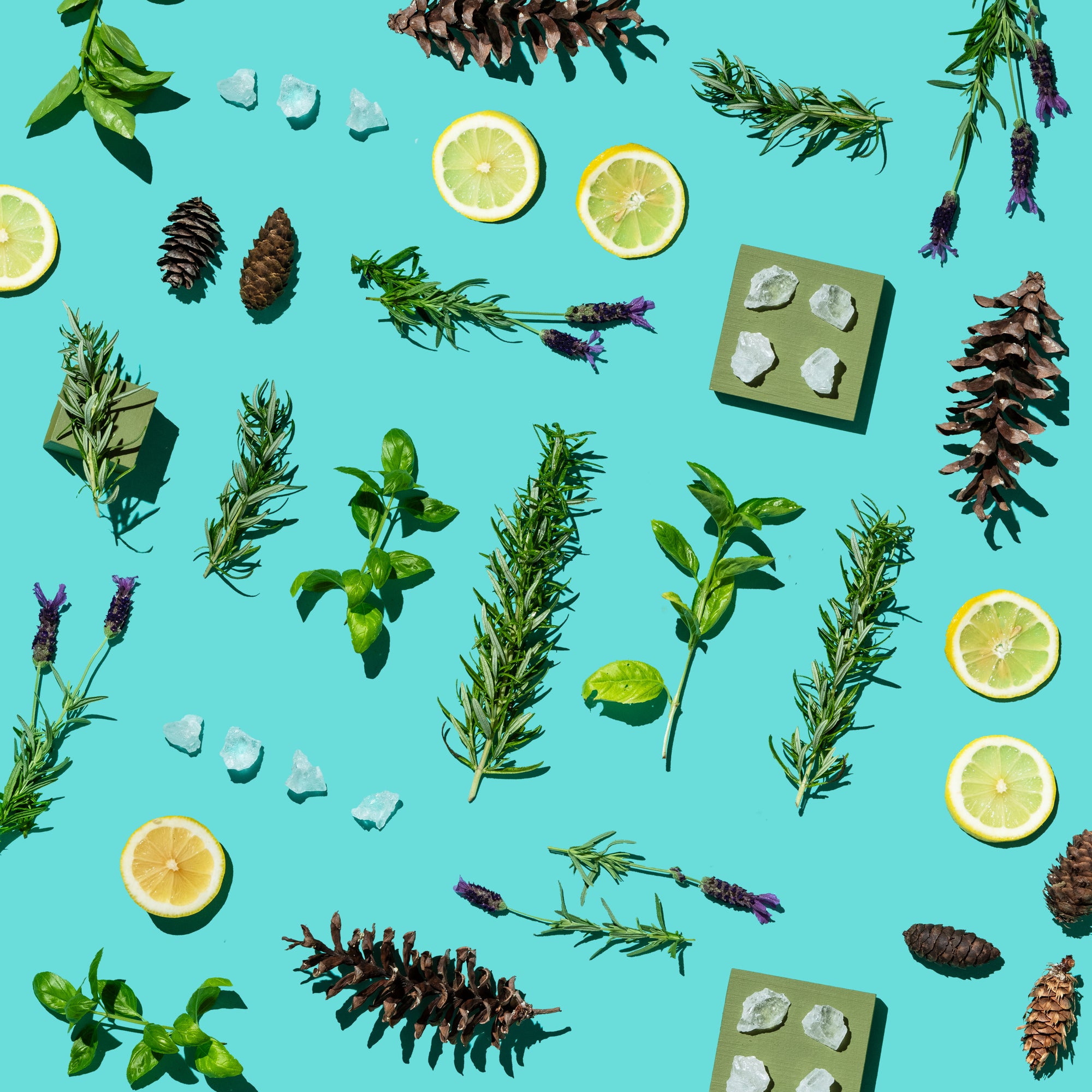 Herbs, lemons, and pinecones arranged on a teal background