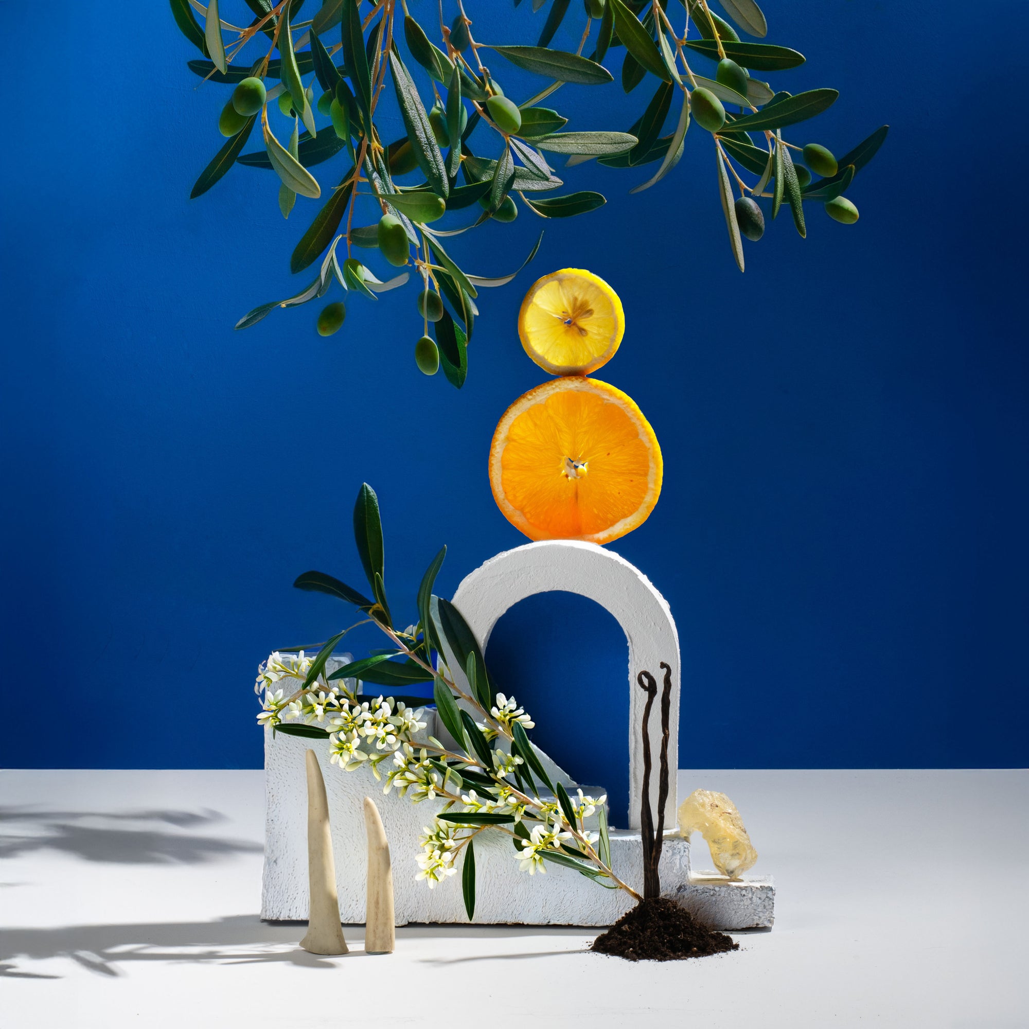 Decorative arrangement with fruits, flowers, and a white arch against a blue background