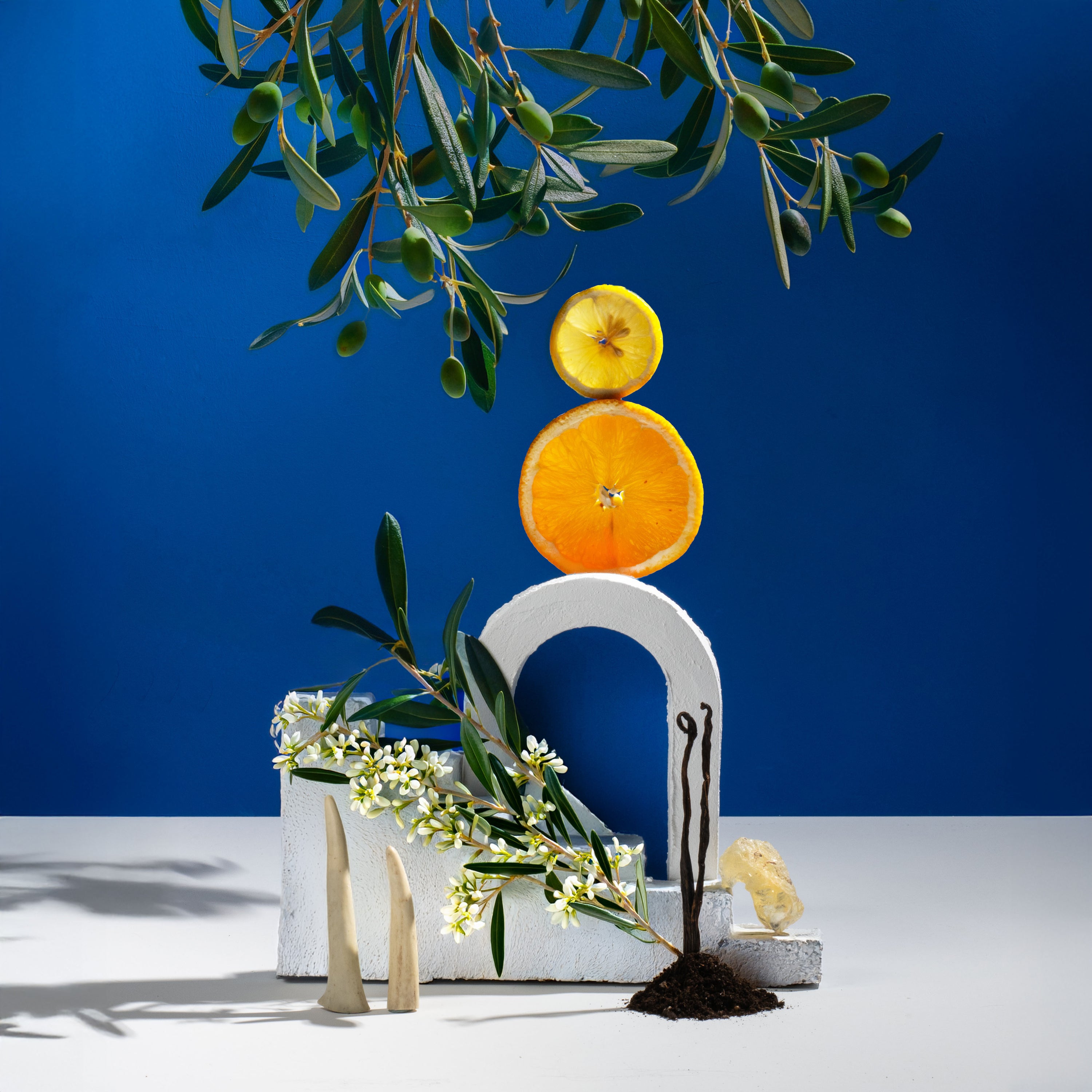 Decorative arrangement with fruits, flowers, and a white arch against a blue background