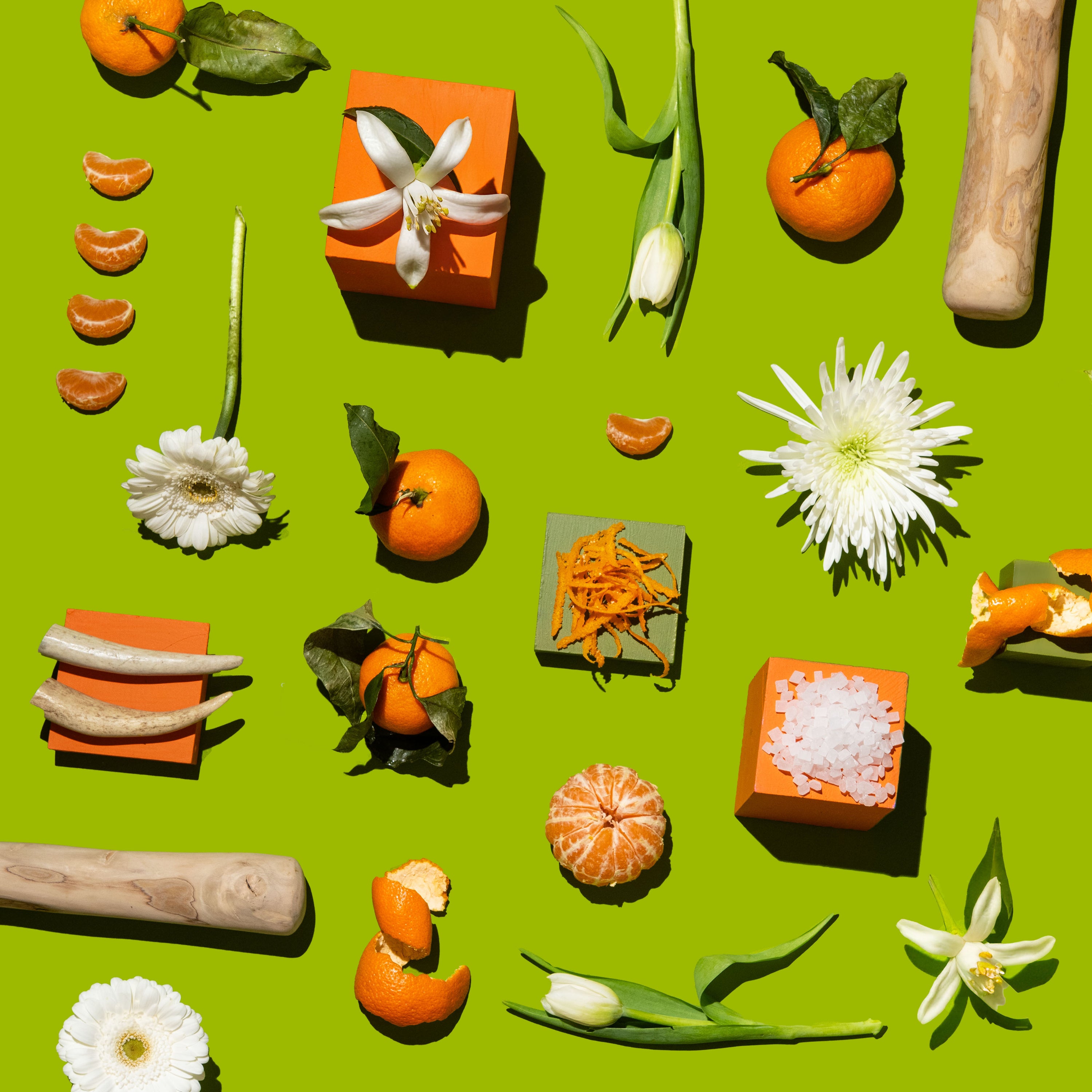 Arrangement of oranges, flowers, and other items on a green background