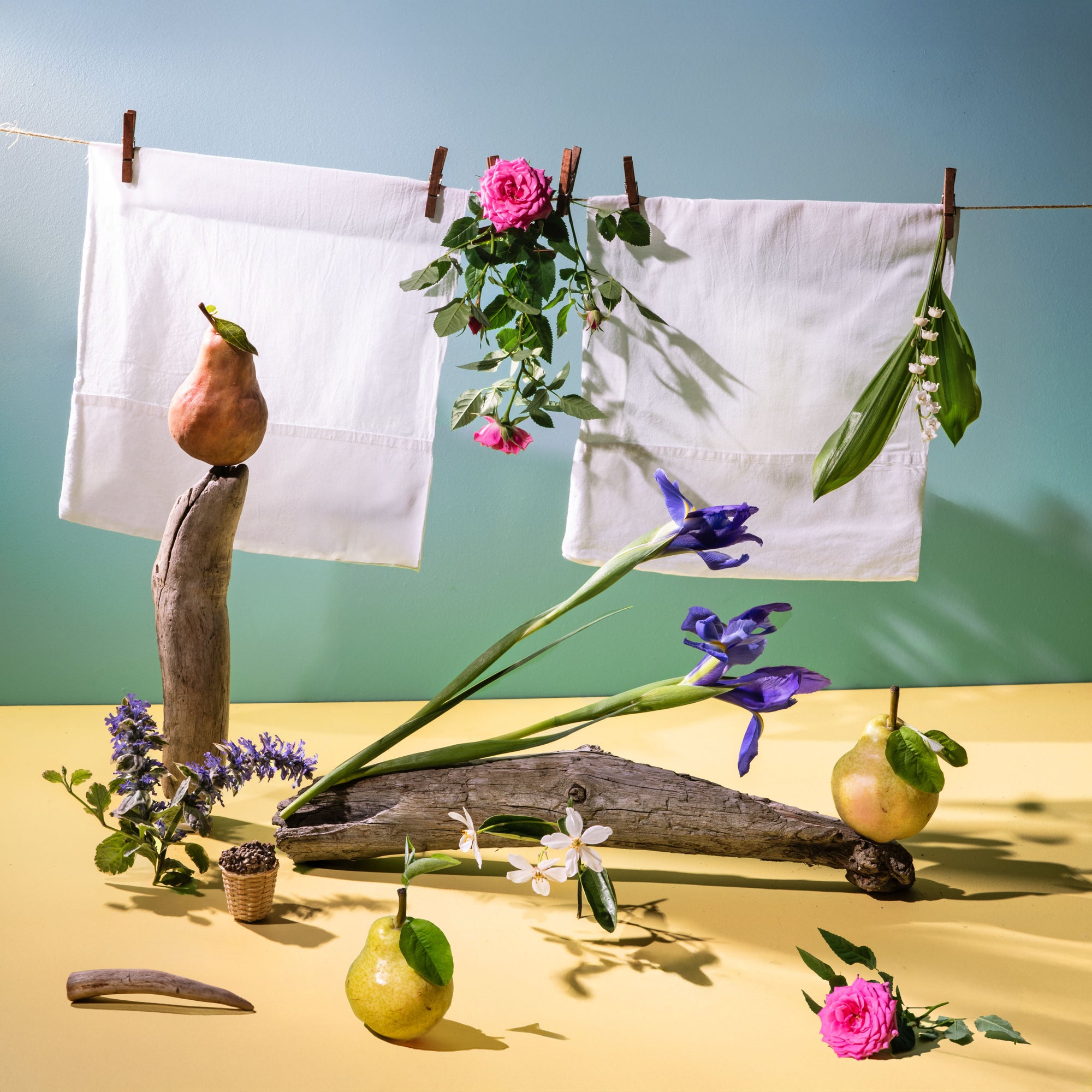 White towels hanging on a line with flowers and natural elements on a yellow and blue gradient background.
