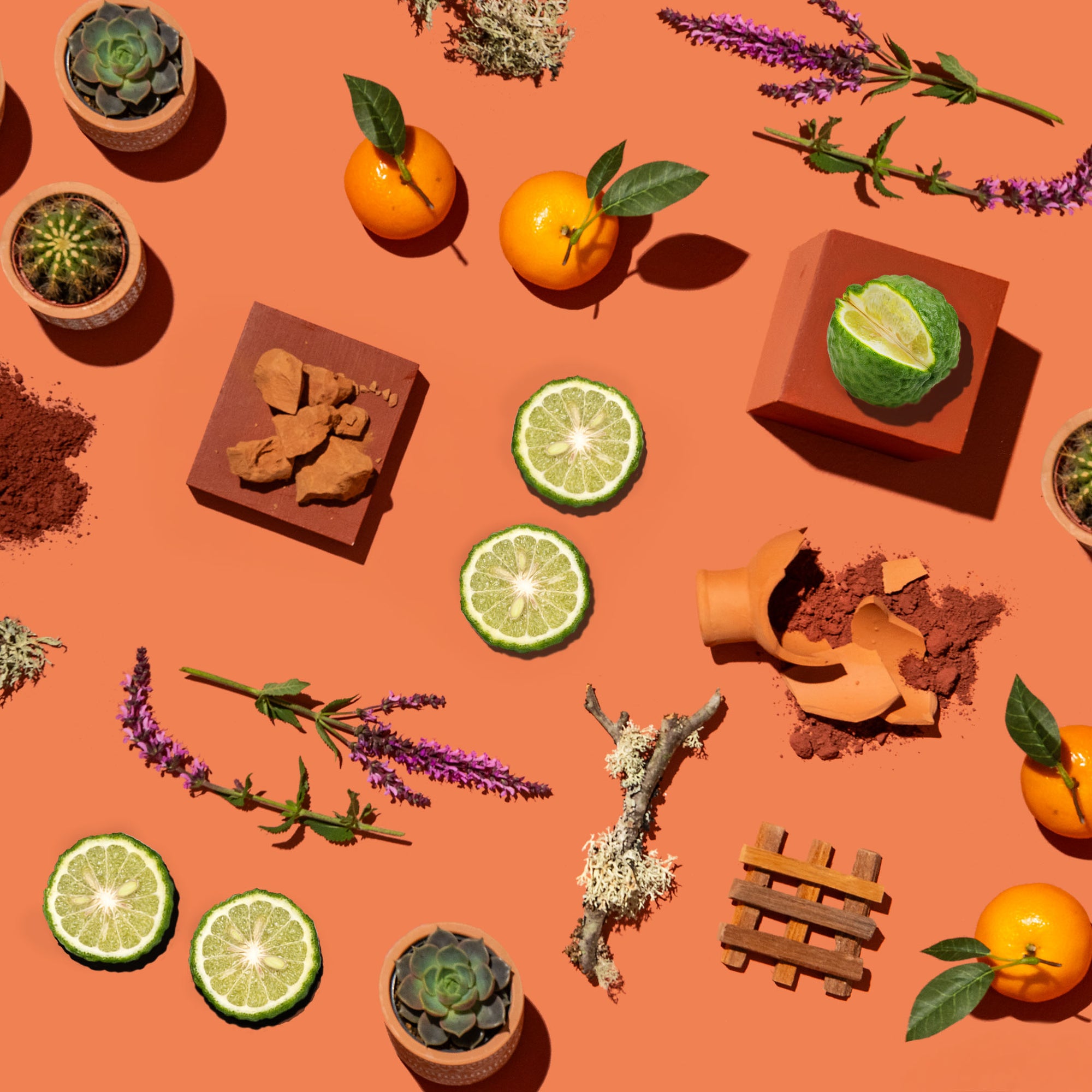 Various items including oranges, limes, herbs, and small wooden structures on a terracotta background