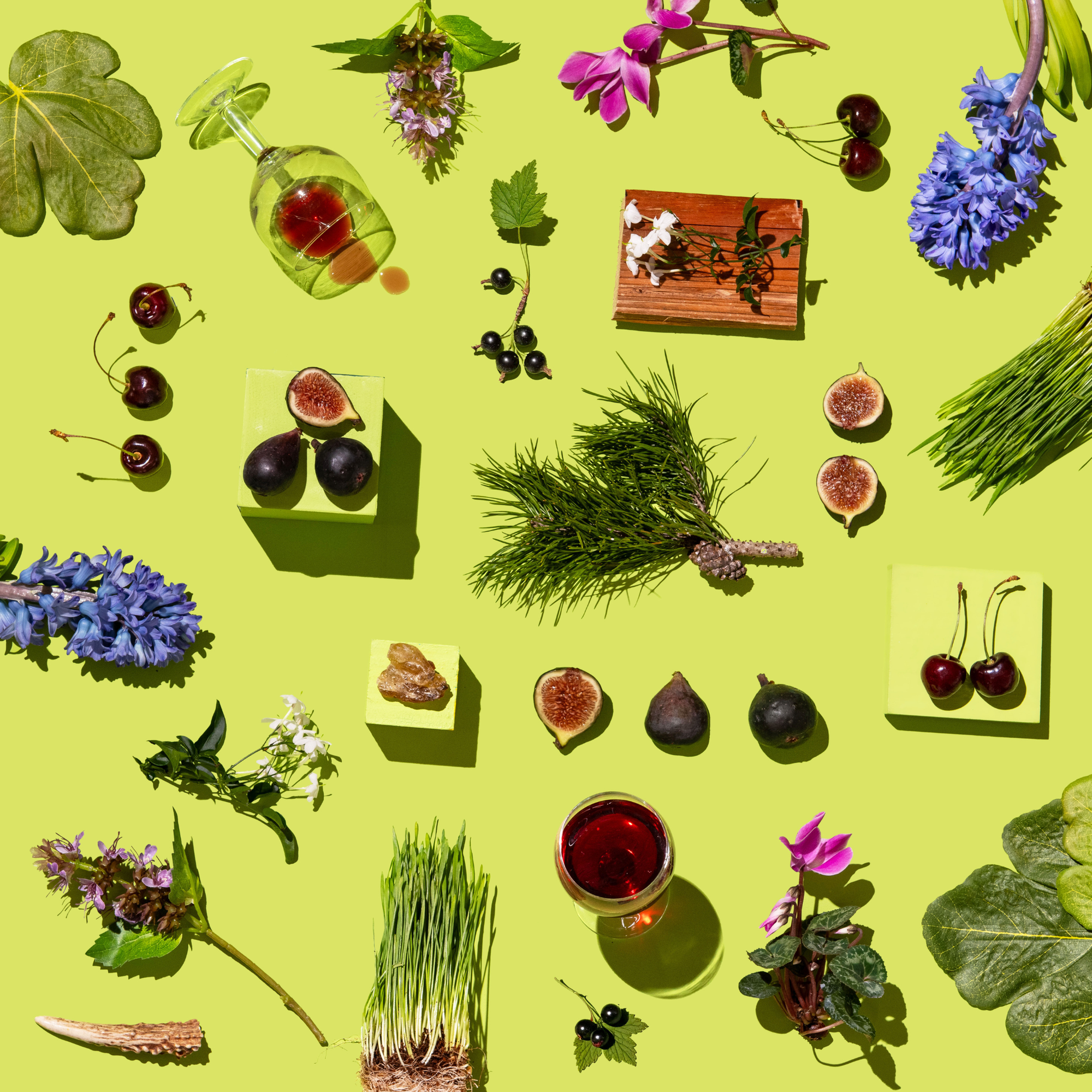 Colorful arrangement of fruits, vegetables, and plants on a bright green background