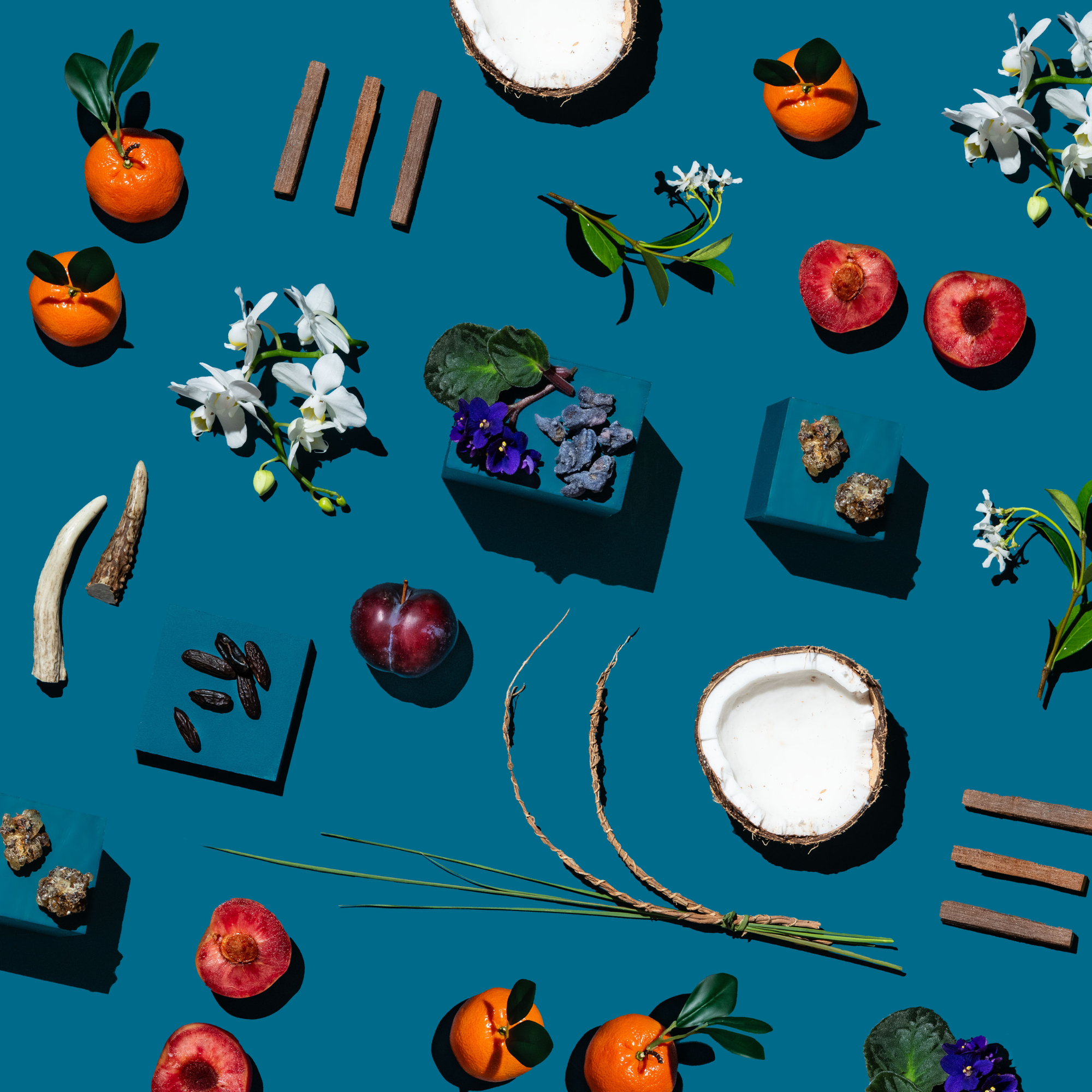Various fruits, flowers, and herbs arranged on a blue background