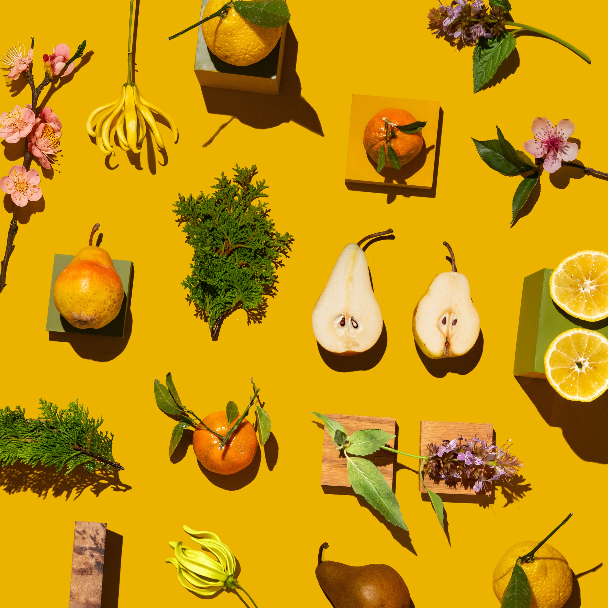 Bright flat-lay on a bold yellow background featuring pears (whole and halved), oranges and lemons (whole and sliced), evergreen sprigs, pink blossoms, and purple herbs arranged on small colored blocks and wood tiles, with crisp shadows.