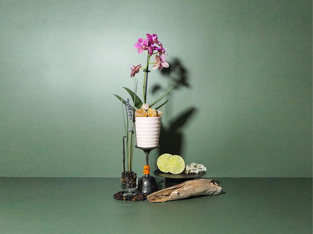 Black Orchid