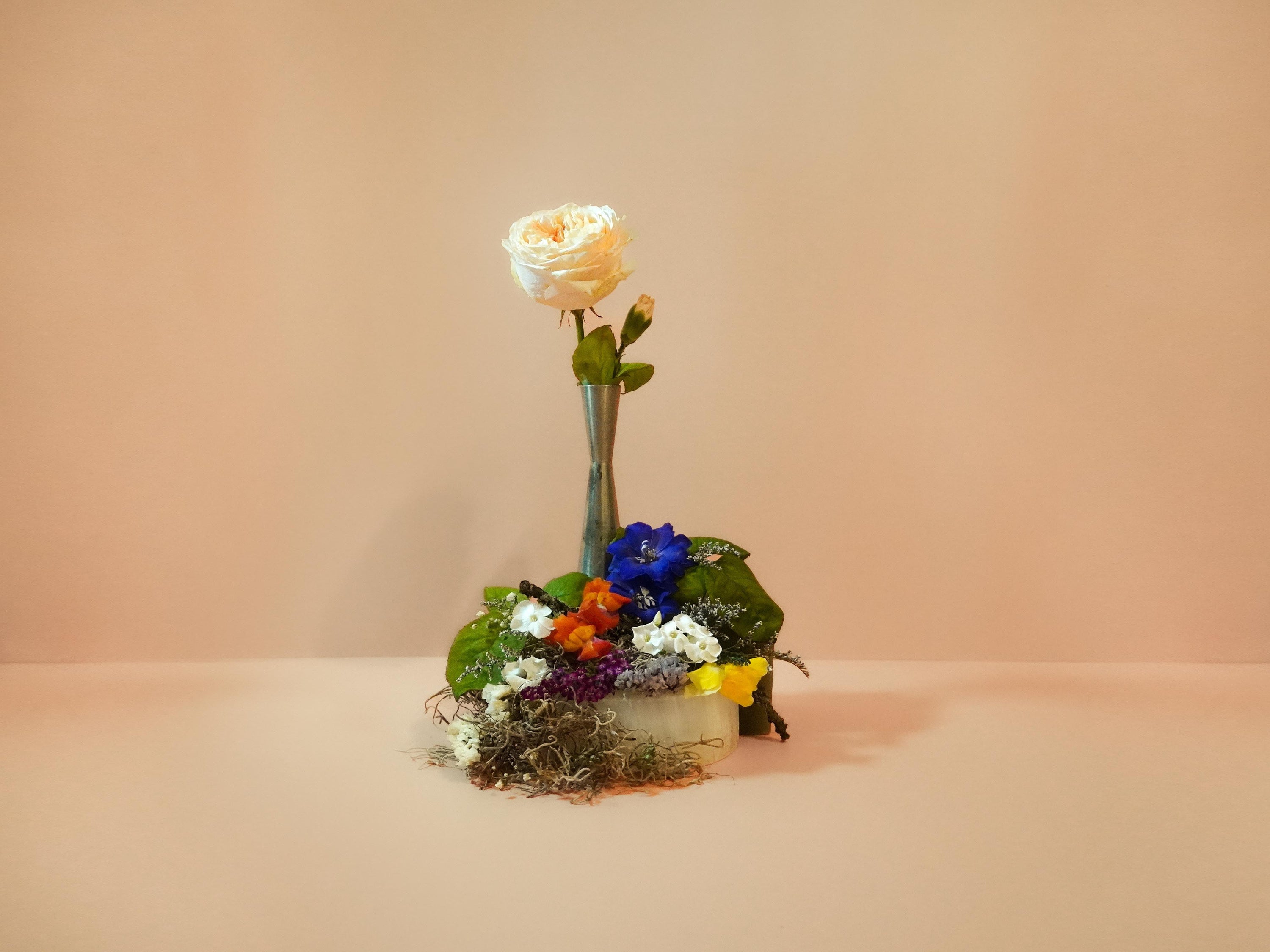 Petals + Stems