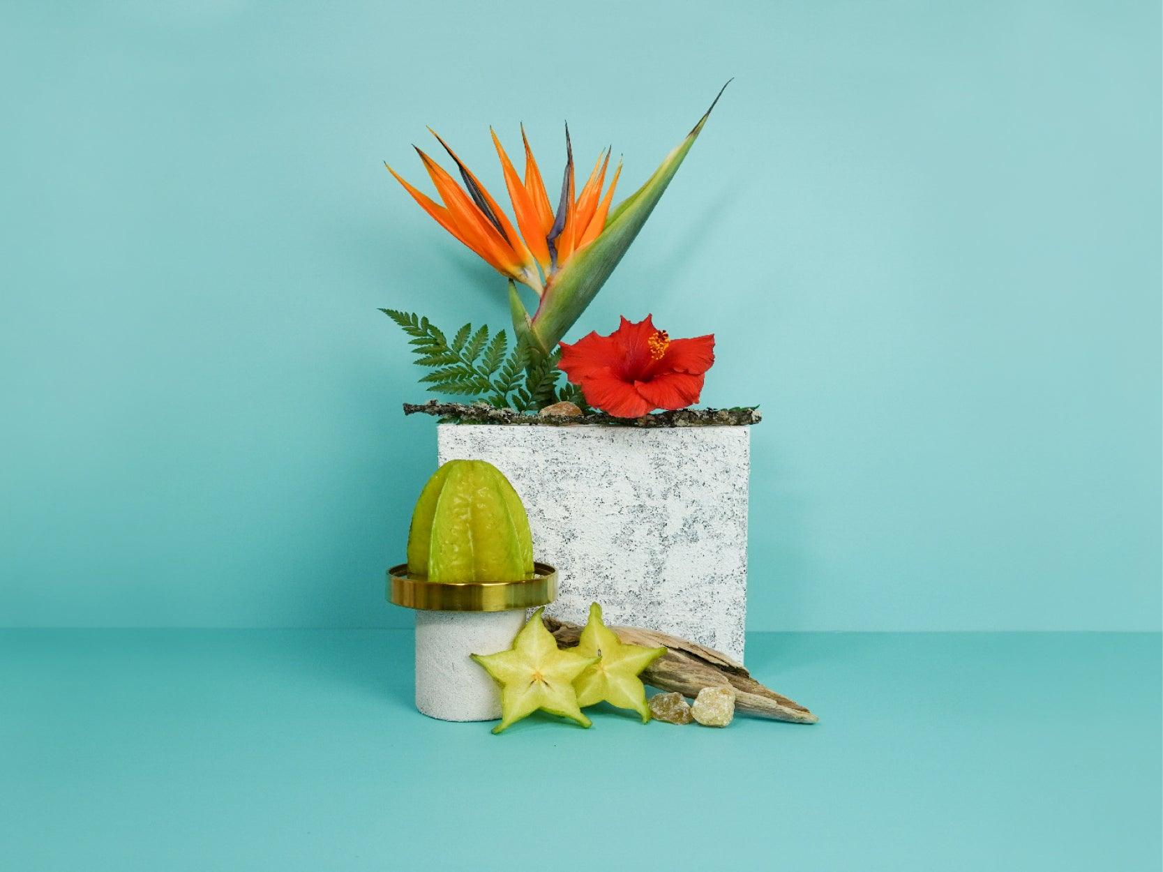 Hibiscus flower, Starfruit and bird of paradise on a teal background