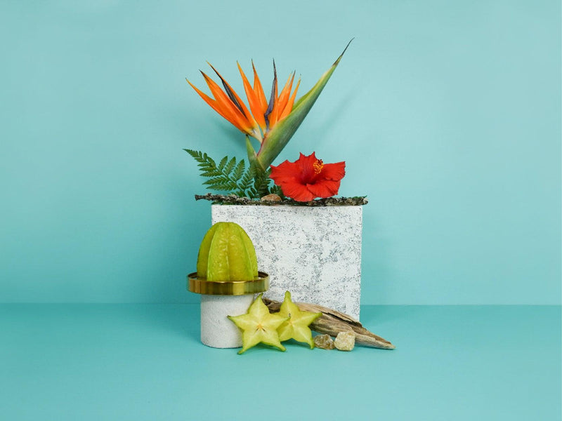 Hibiscus flower, Starfruit and bird of paradise on a teal background