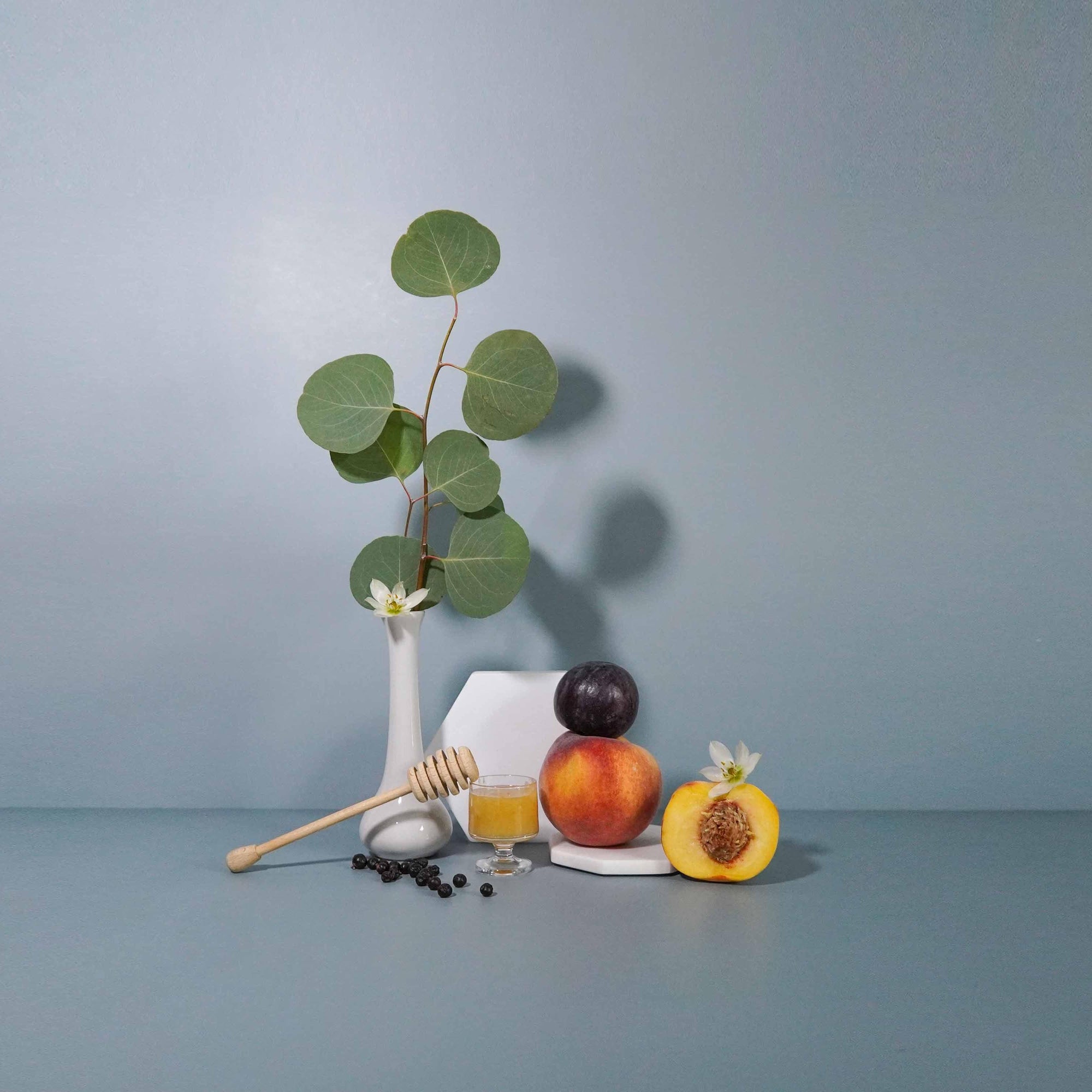 Wild Fig + Cassis
