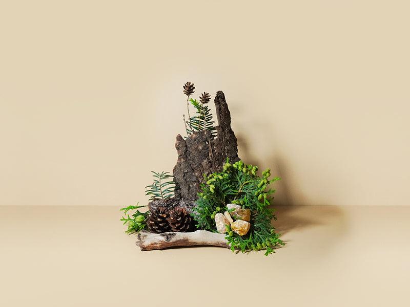 Amber and Spruce twigs balanced on spruce bark on a yellow background